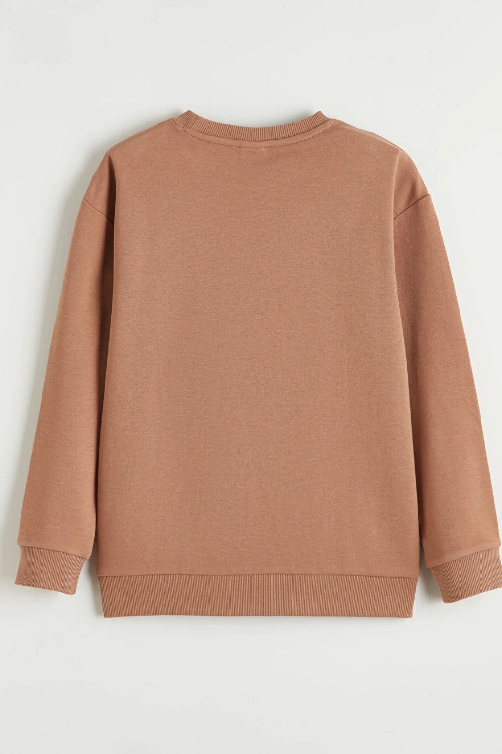 LCW Kids Kahverengi Yazı Baskılı Erkek Çocuk Sweatshirt