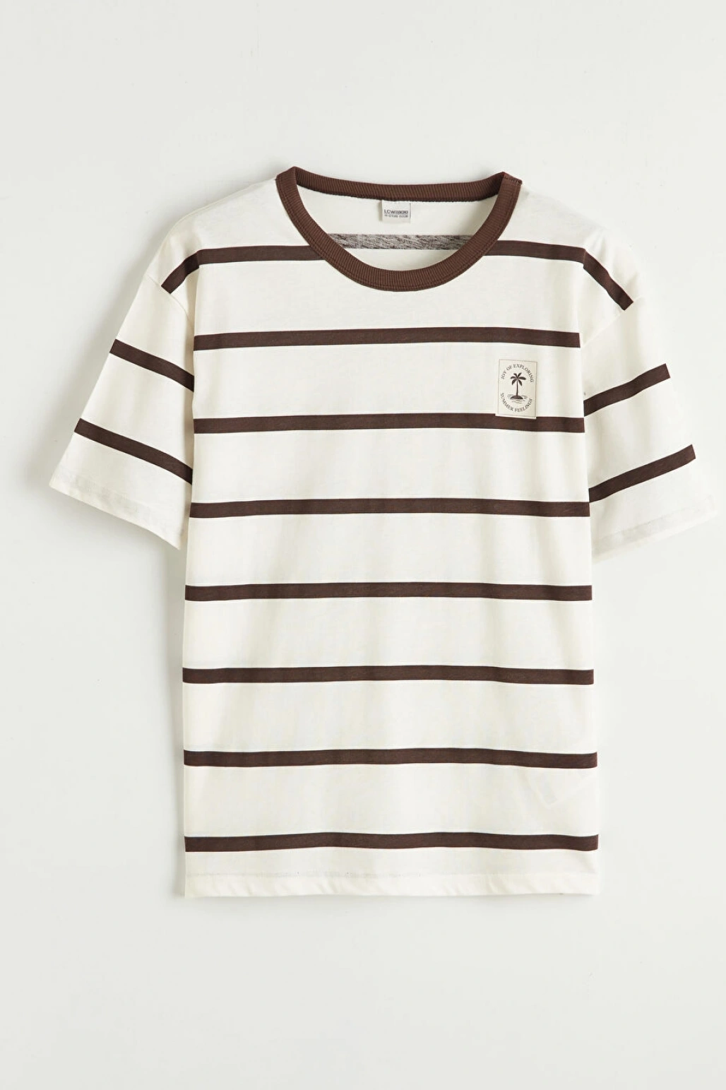 LCW Kids Kahverengi Çizgili Erkek Çocuk Tişört Ve Şort