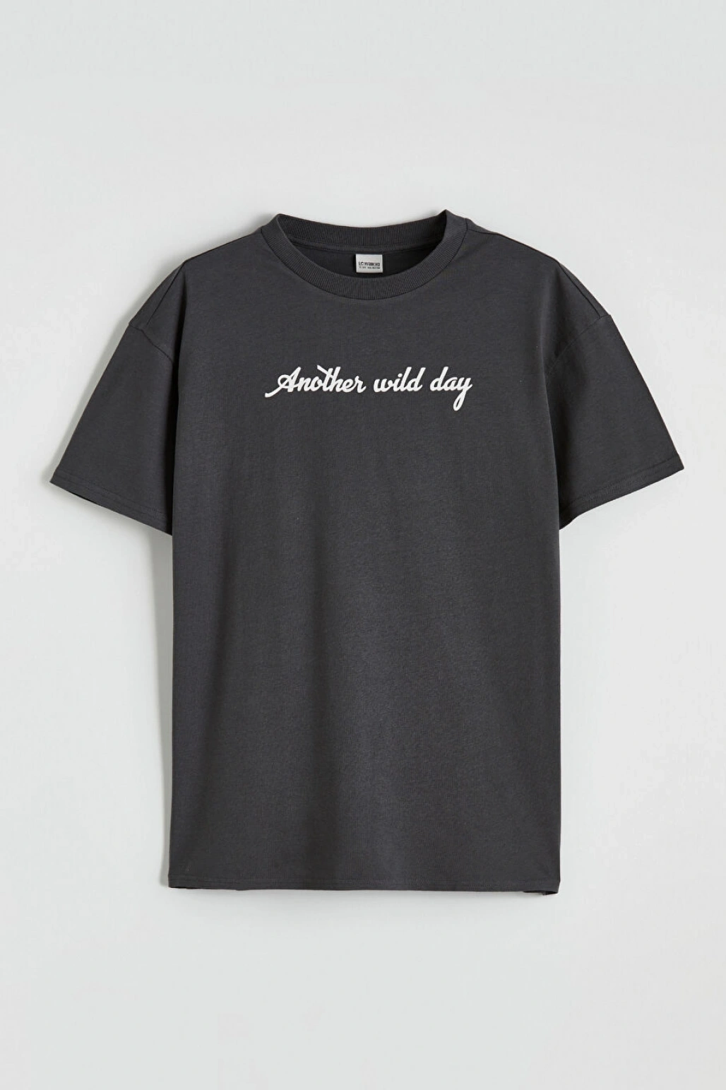 CW Kids Antrasit Bisiklet Yaka Erkek Çocuk Baskılı Tişört