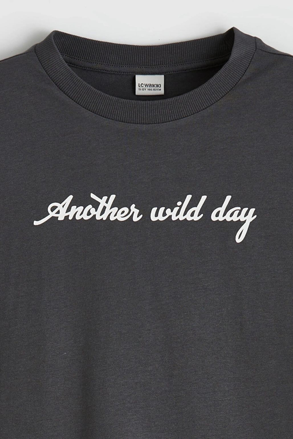 CW Kids Antrasit Bisiklet Yaka Erkek Çocuk Baskılı Tişört