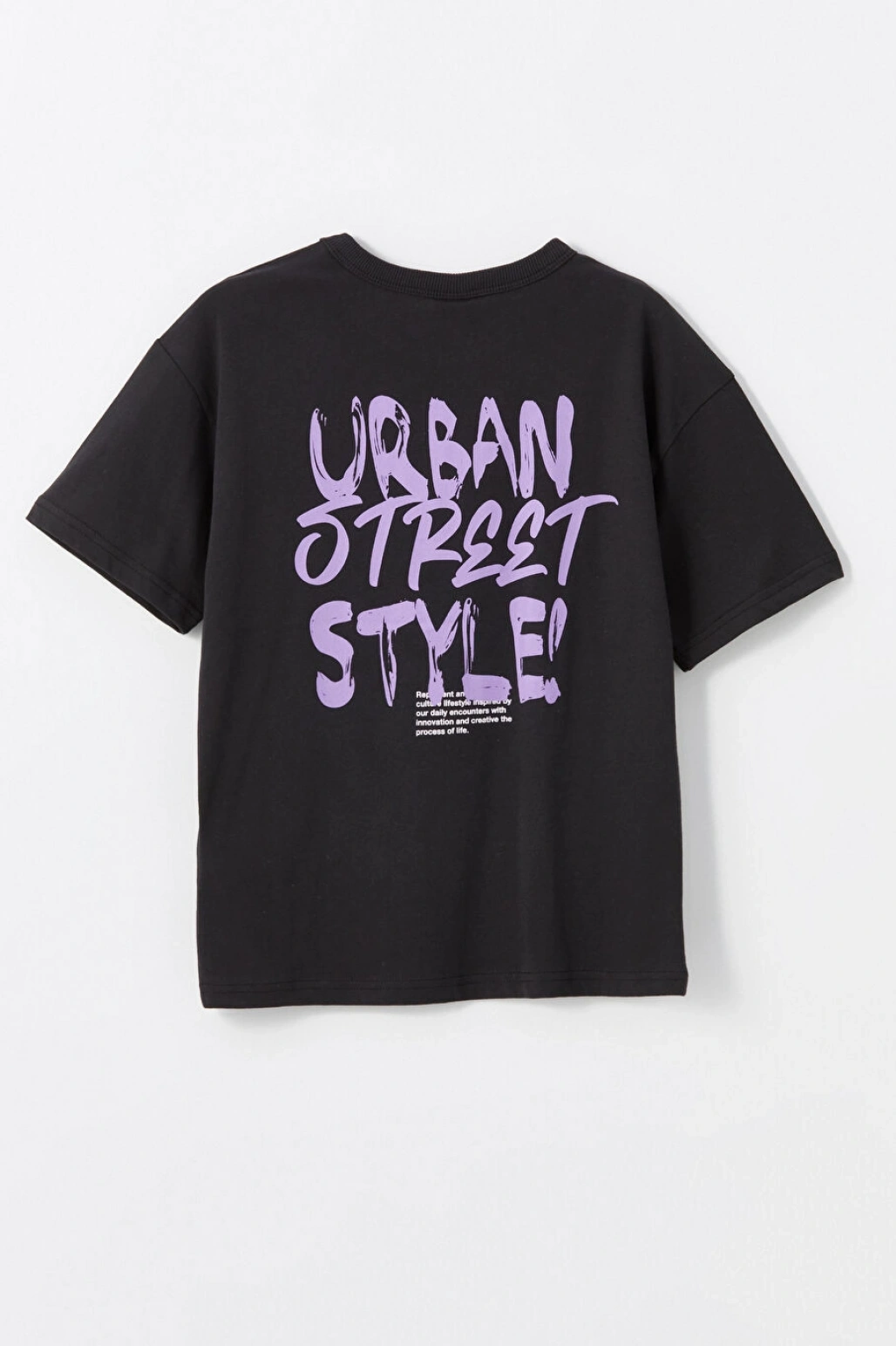 LC Waikiki Rahat Kalıp Bisiklet Yaka Erkek Çocuk Tişört