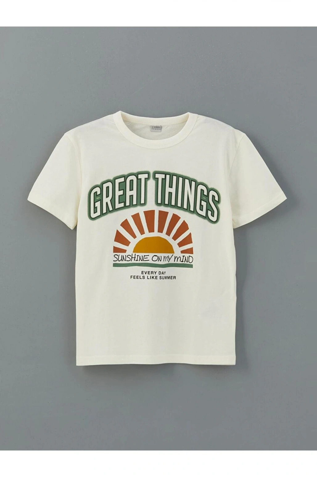 Bisiklet Yaka Erkek Çocuk Tişört Ve Şort (S5)