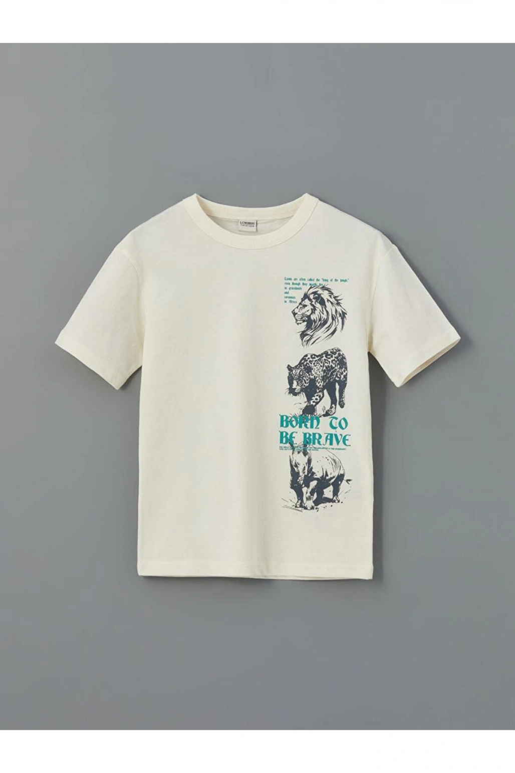 Bisiklet Yaka Erkek Çocuk Tişört Ve Şort (S5)