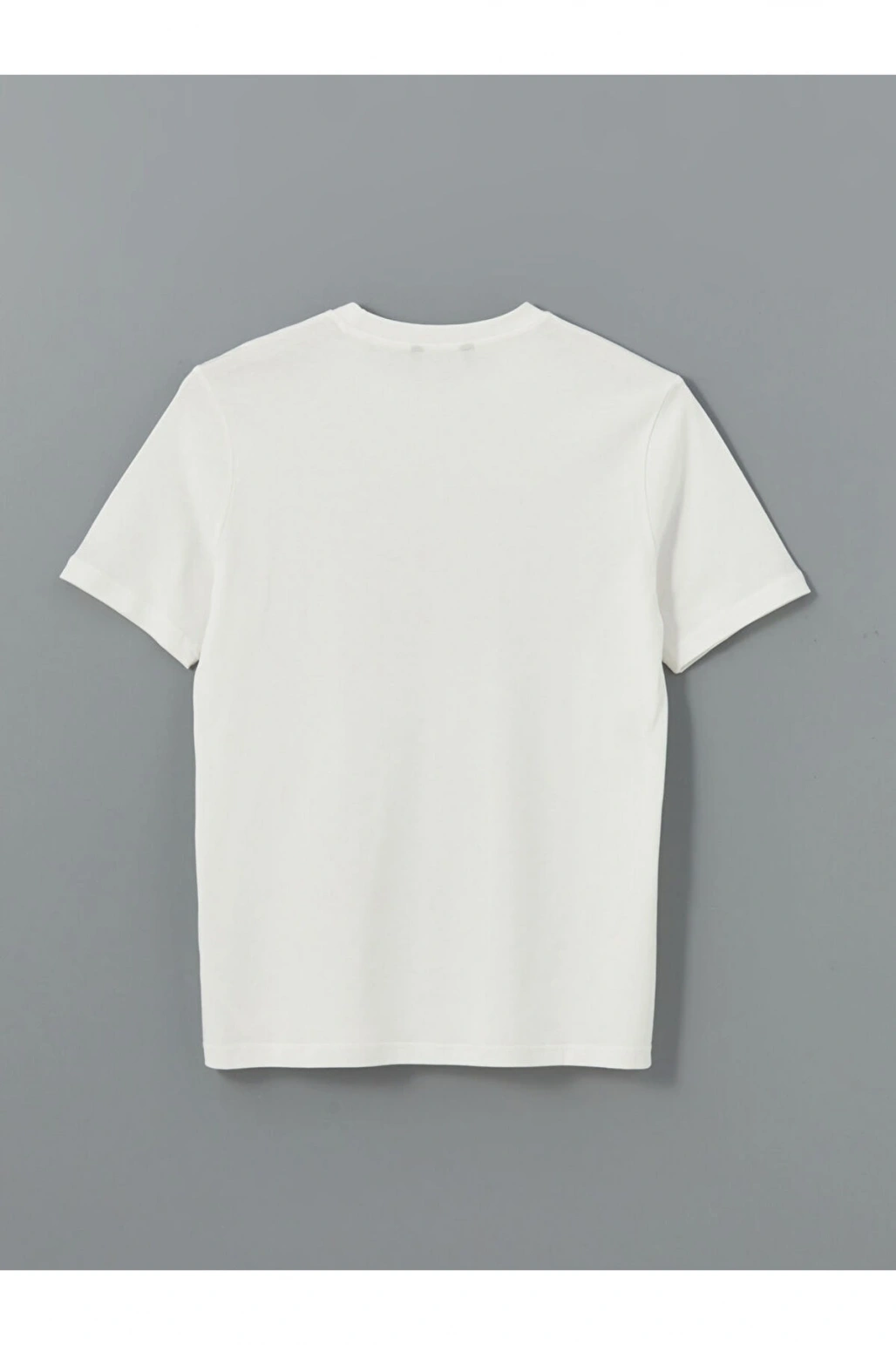 Bisiklet Yaka Kisa Kollu Baskili Penye Erkek Tisort - S52875Z8