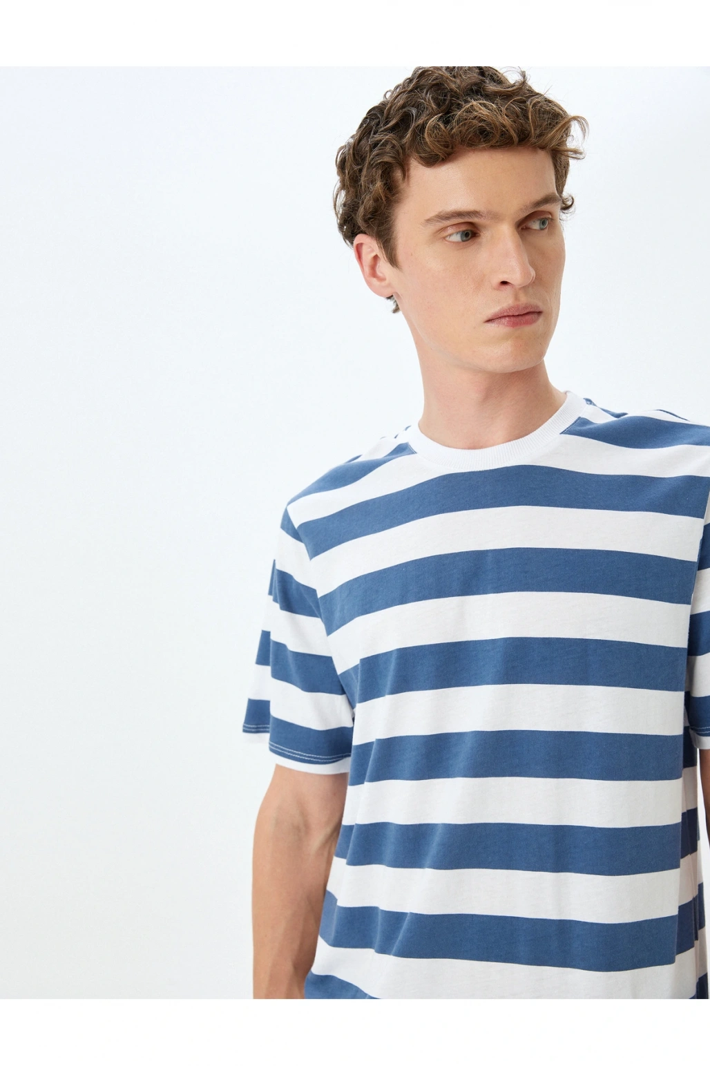 Bisiklet Yaka Pamuklu Regular Fit Kısa Kollu Çizgili Tişört