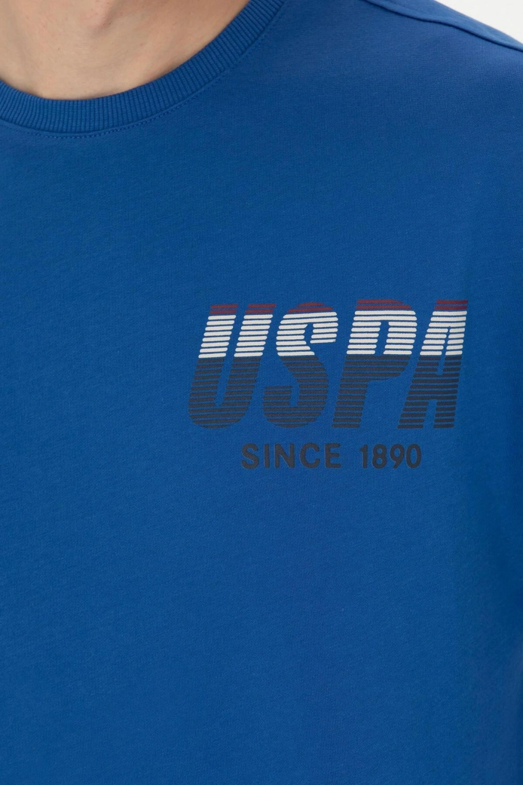 Erkek Sweatshirt 1667755