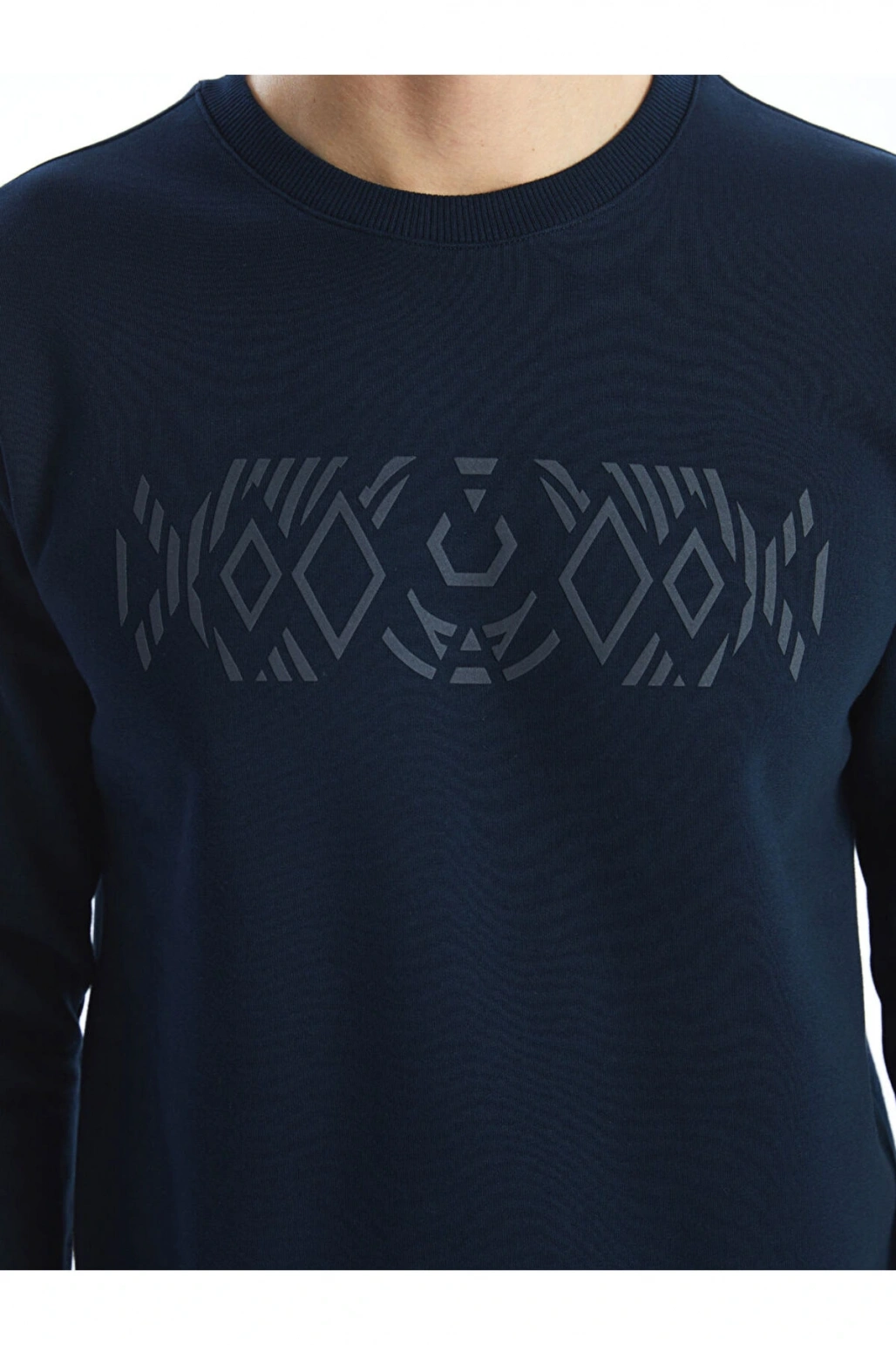 LCW Bisiklet Yaka Uzun Kollu Baskılı Erkek Kalın Sweatshirt