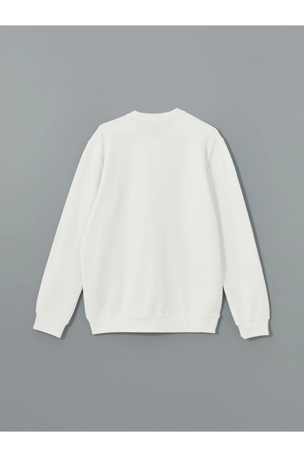 LCW Bisiklet Yaka Uzun Kollu Baskılı Erkek Kalın Sweatshirt