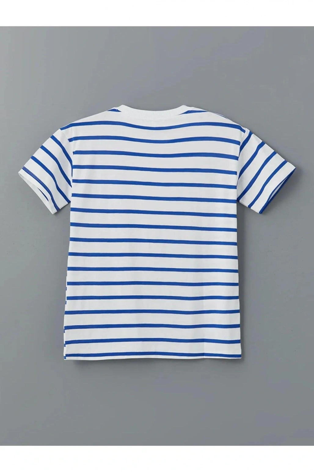 LCW Comfort Bisiklet Yaka Çizgili Kadın Tişört (S5)