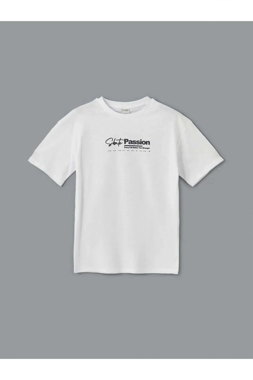 LCW Kids Beyaz Bisiklet Yaka Erkek Çocuk Tişört