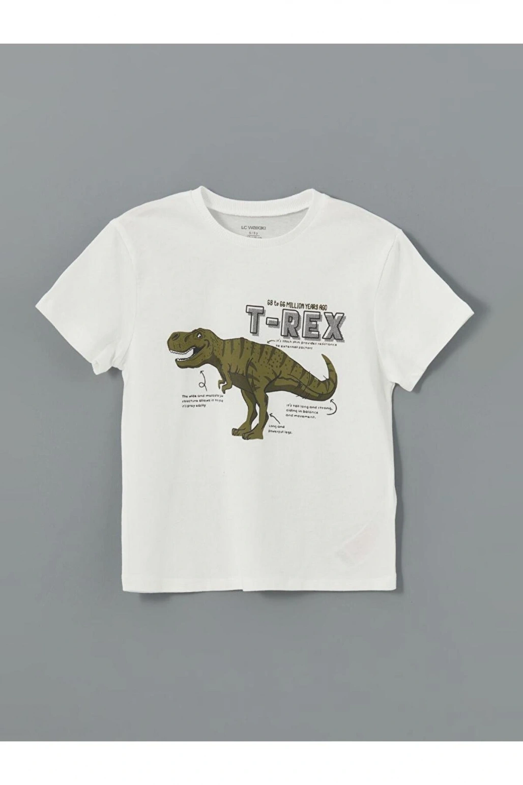 LCW Kids Bisiklet Yaka Dinazor Baskılı Erkek Çocuk Tişört