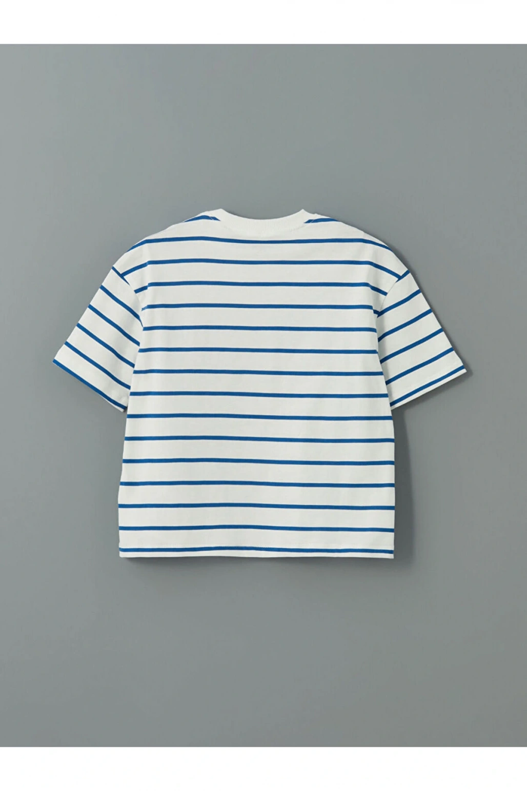 LCW Kids Bisiklet Yaka Erkek Çocuk Tişört ve Şort 2li