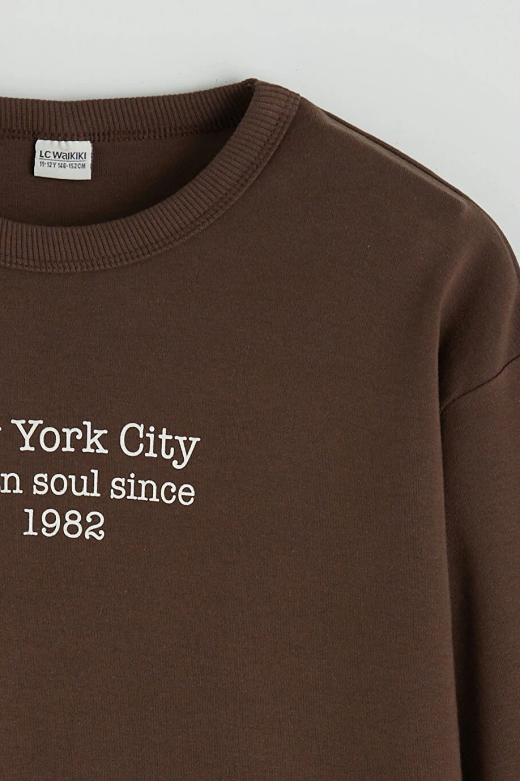 LCW Kids Kahverengi Bisiklet Yaka Baskılı Erkek Çocuk Tişört