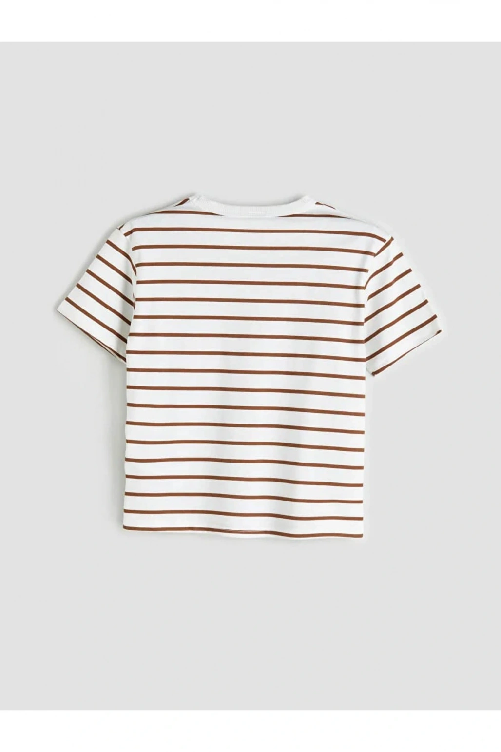 LCW Kids Mavi Bisiklet Yaka Erkek Çocuk Tişört 2li