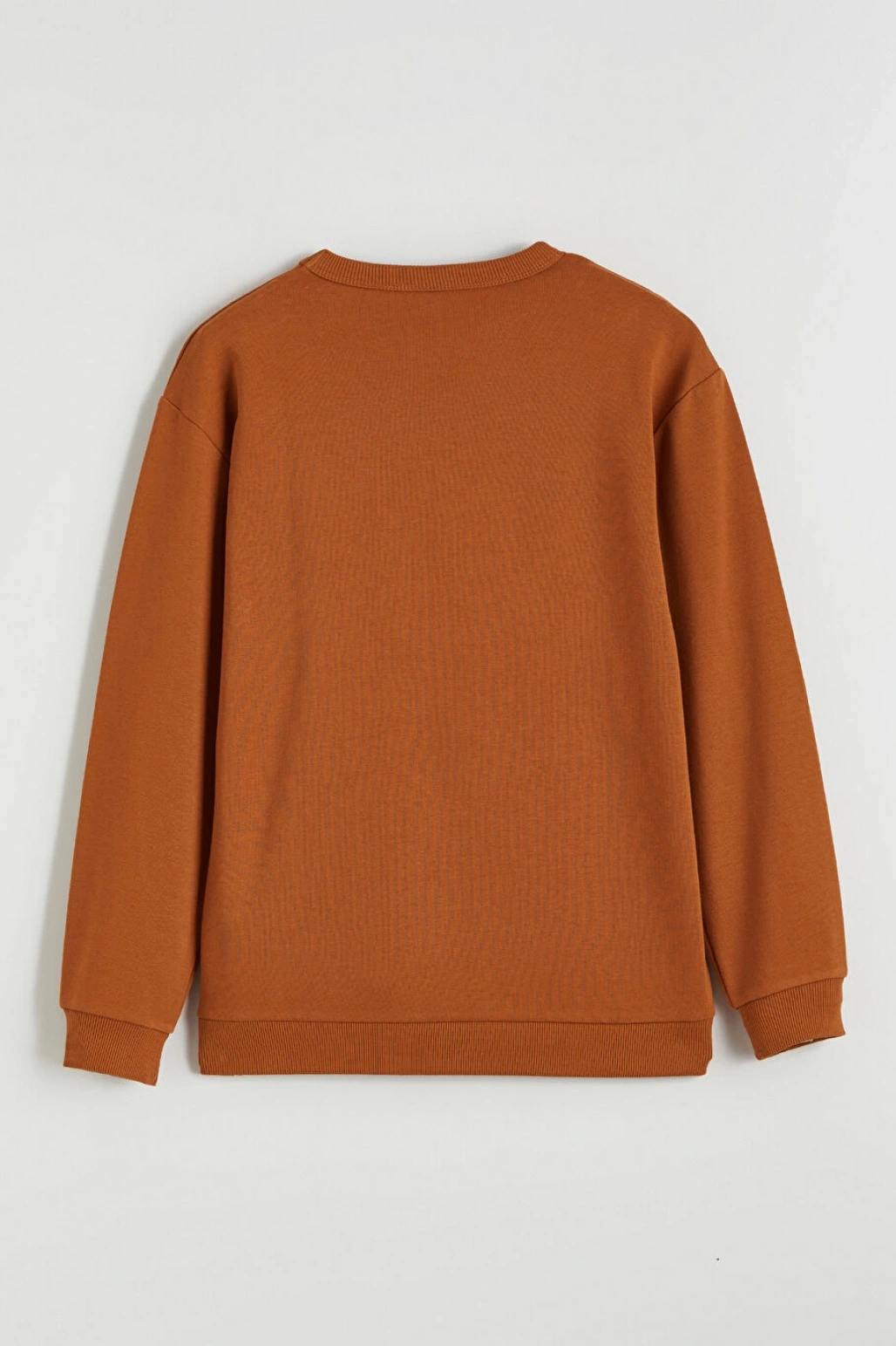 LCW Kids Turuncu Baskılı Erkek Çocuk Sweatshirt