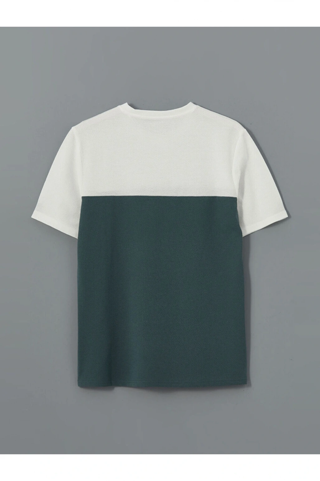 LCWAIKIKI Classic Bisiklet Yaka Kısa Kollu Renk Bloklu Erkek Tişört