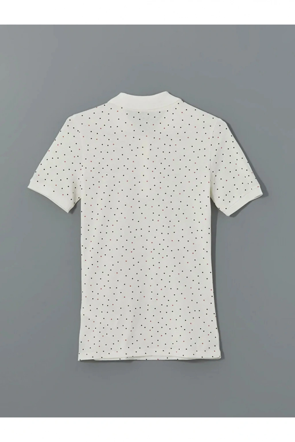 LCWAIKIKI Classic  Polo Yaka Desenli Kadın Tişört