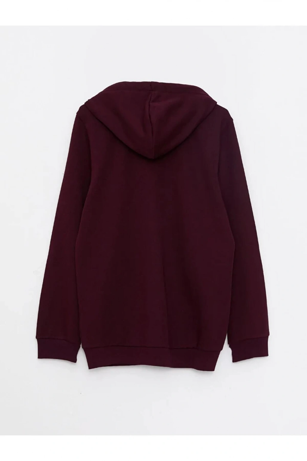 Rahat Kalıp Kapüşonlu Erkek Spor Hırka