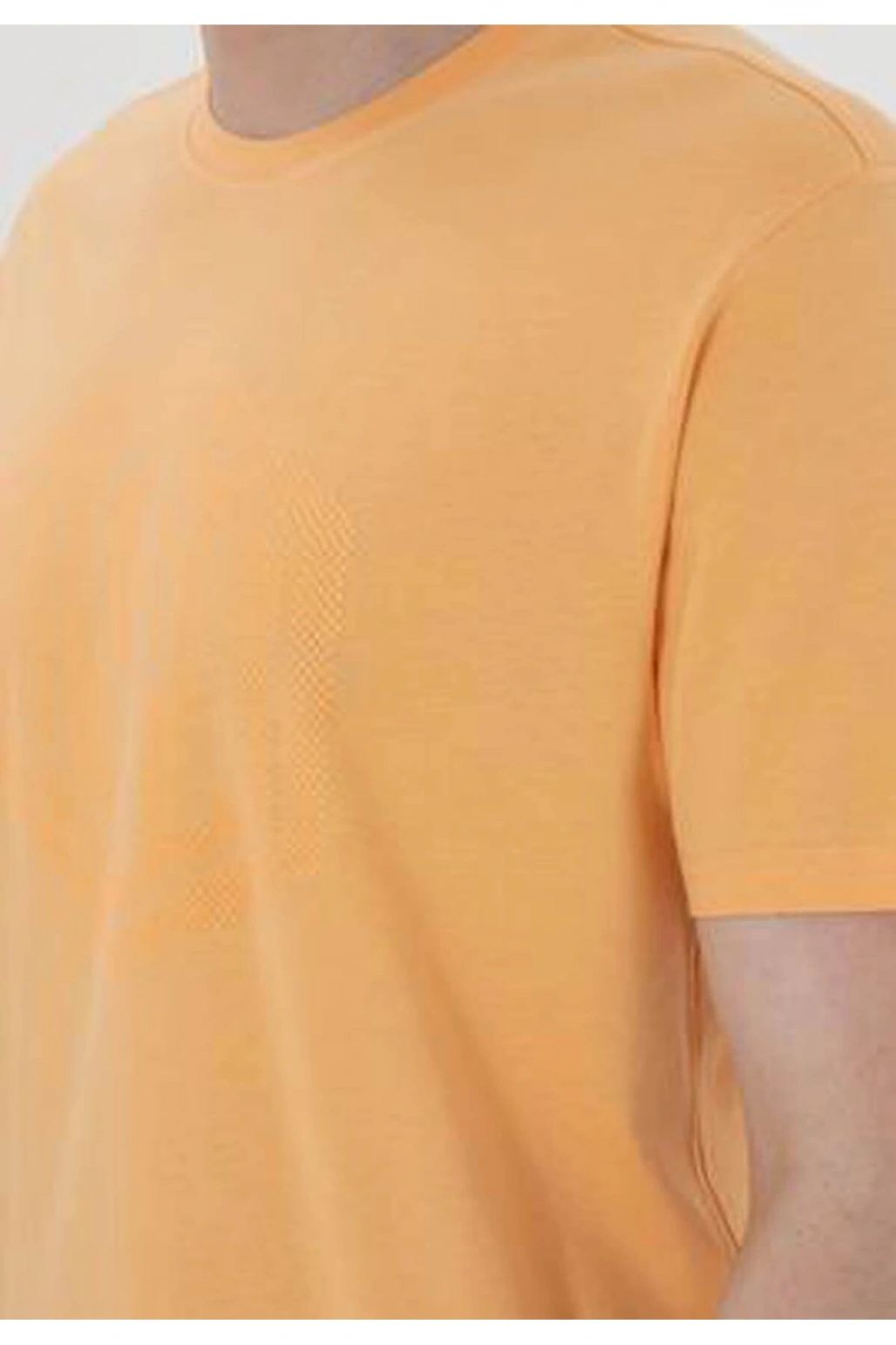 U.S. Polo Assn. Gaston Turuncu Erkek T-Shirt 2107294