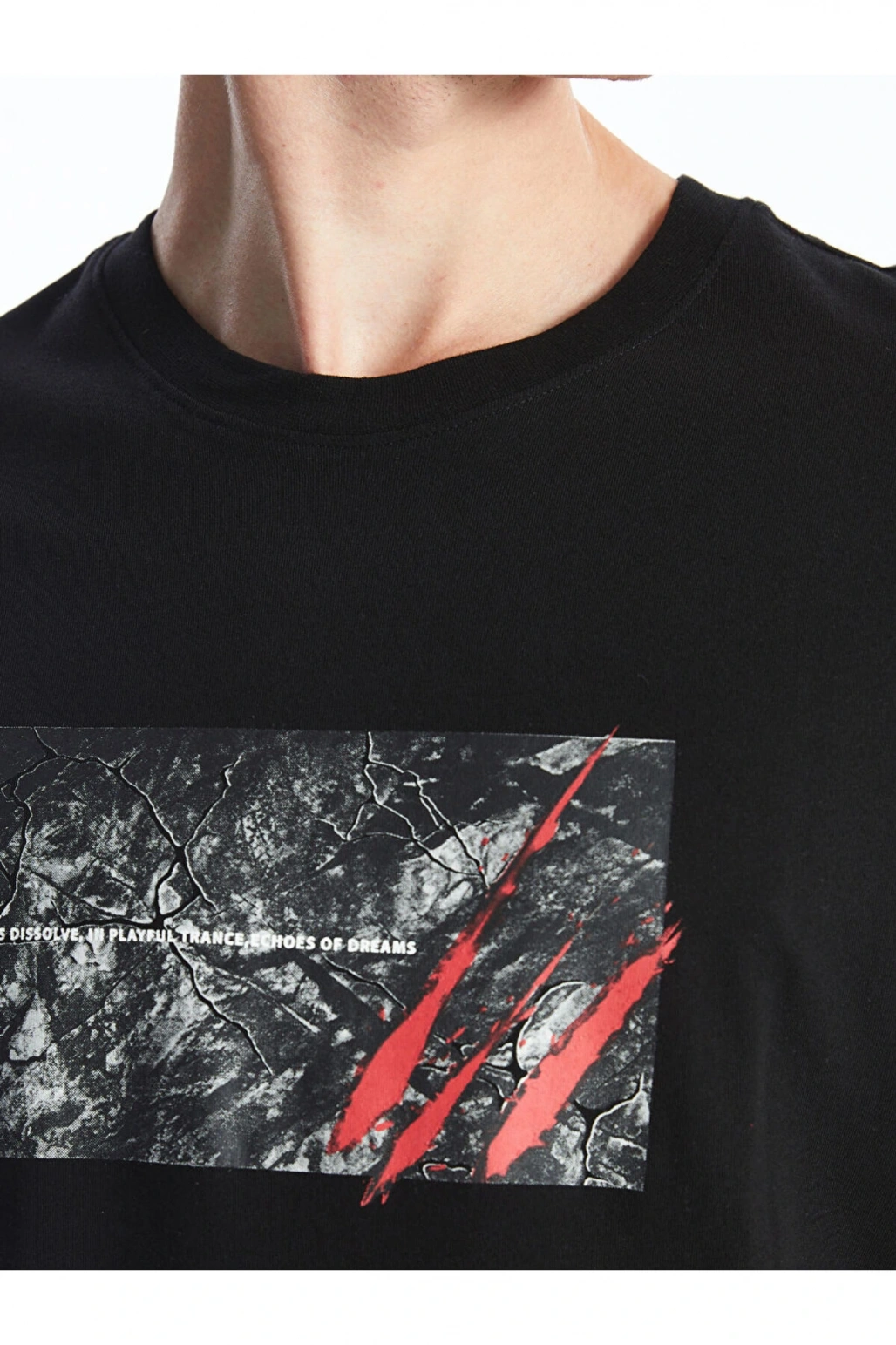 XSIDE Bisiklet Yaka Kısa Kollu Baskılı Penye Erkek Tişört