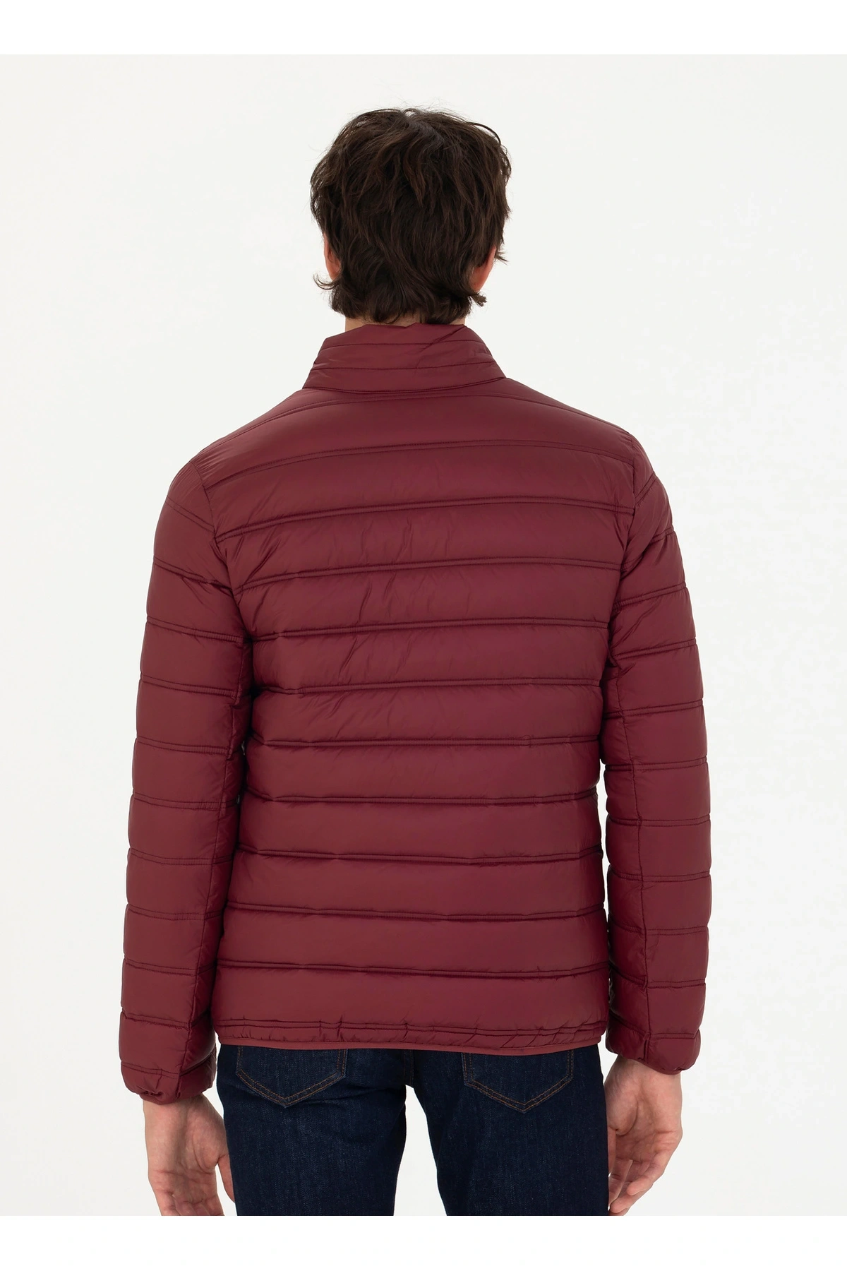 U.S. Polo Assn. Bordo Erkek Mont BONY23K