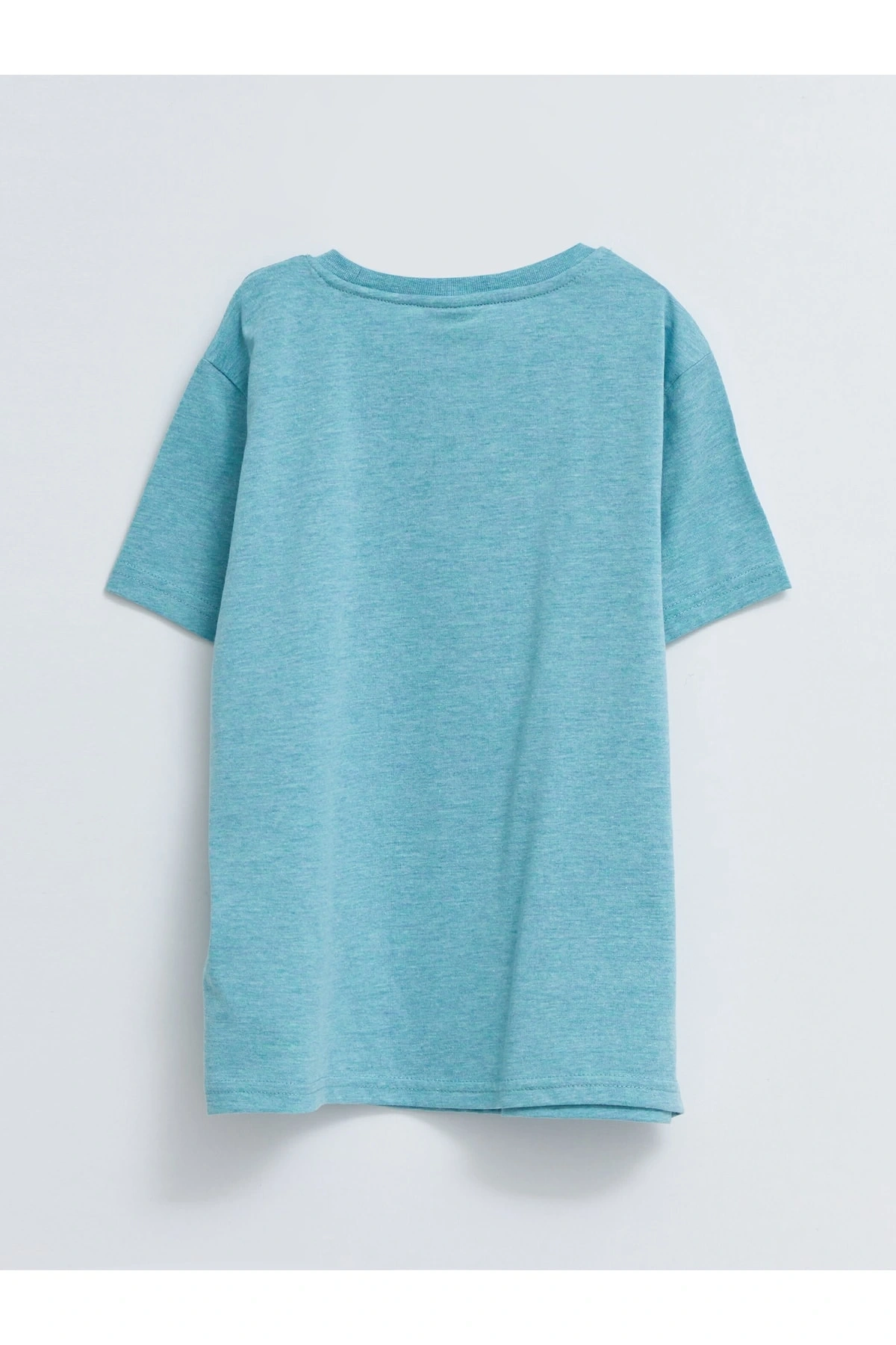 Kk.tsh.b,ınt-carso (S2)