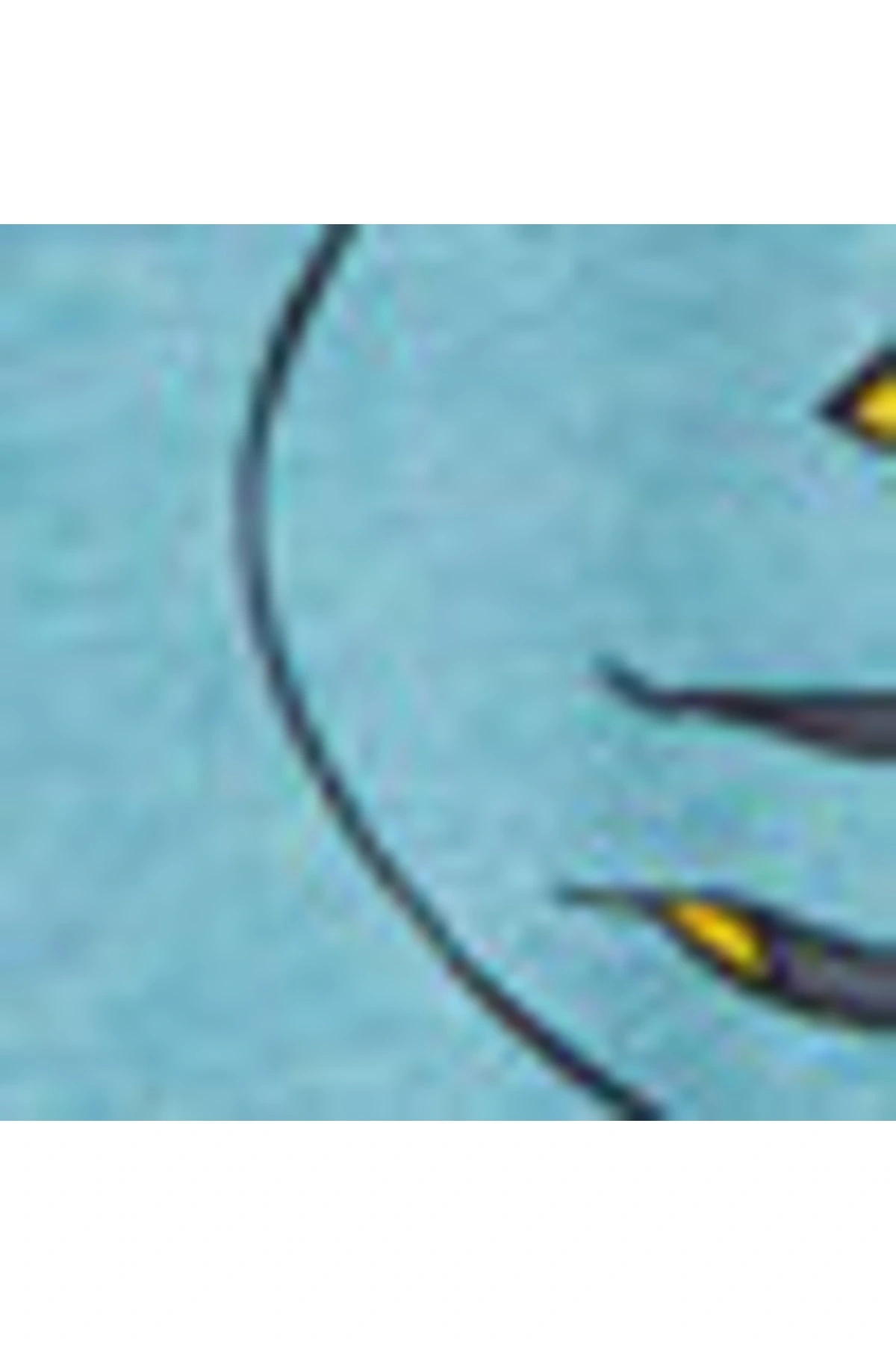 Kk.tsh.b,ınt-carso (S2)