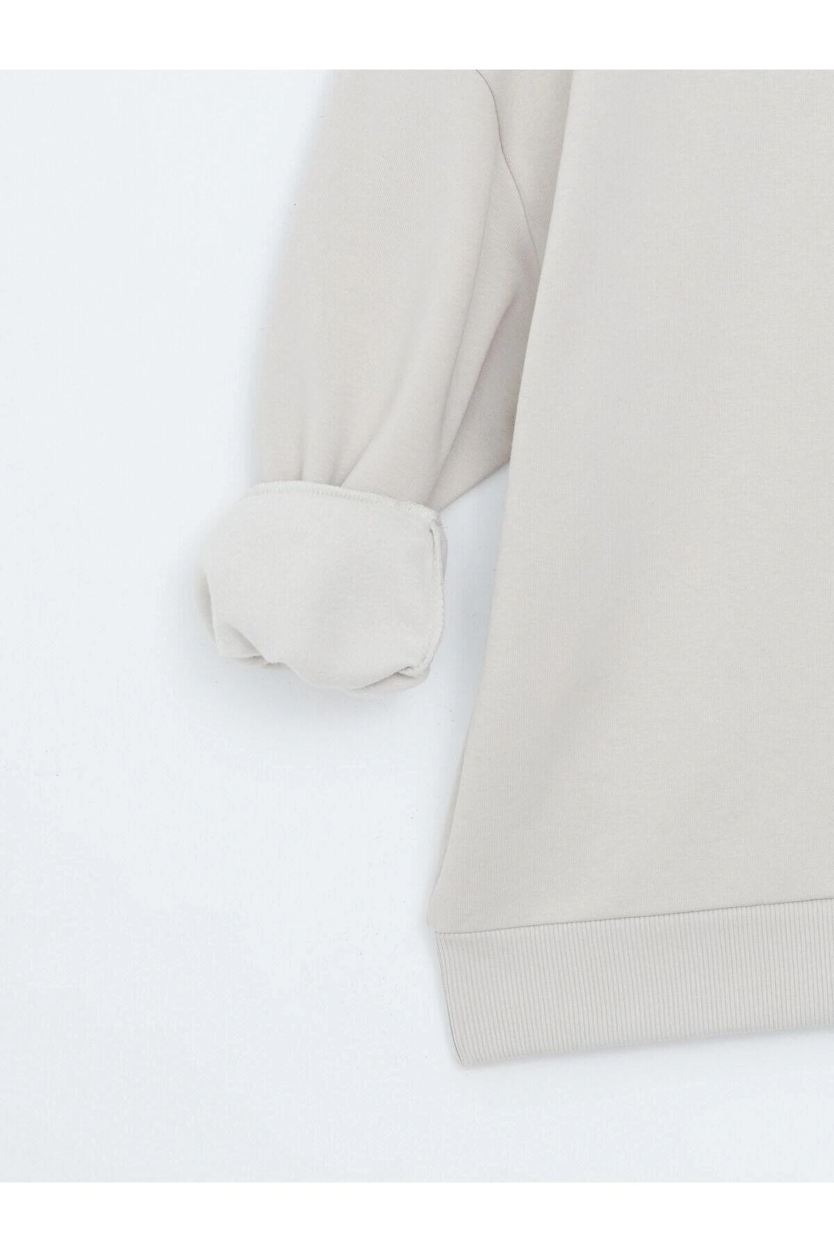 LCW Vision  Bisiklet Yaka Baskılı Oversize Kadın Kalın Sweatshirt