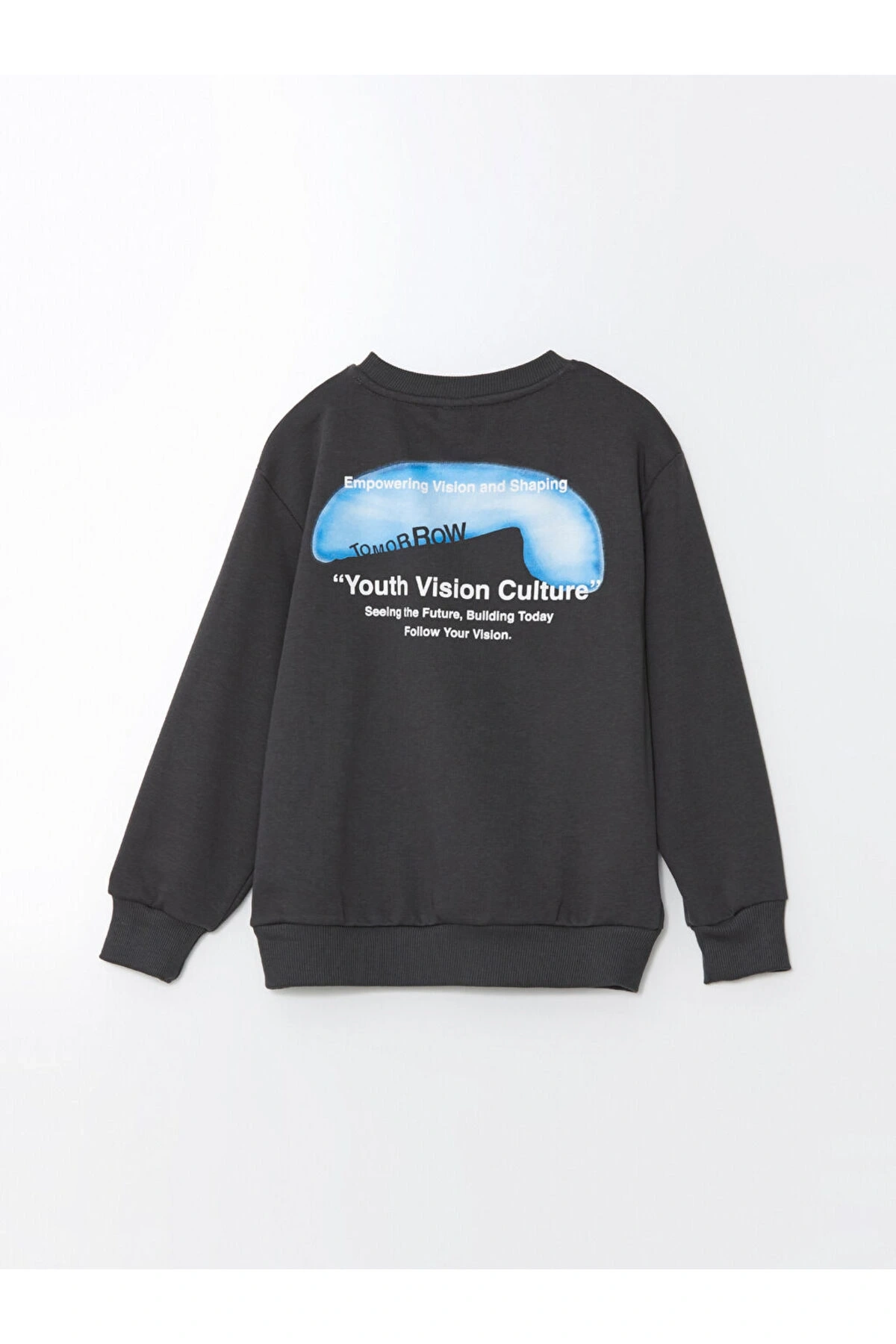 Bisiklet Yaka Erkek Cocuk Sweatshirt - W48363Z4