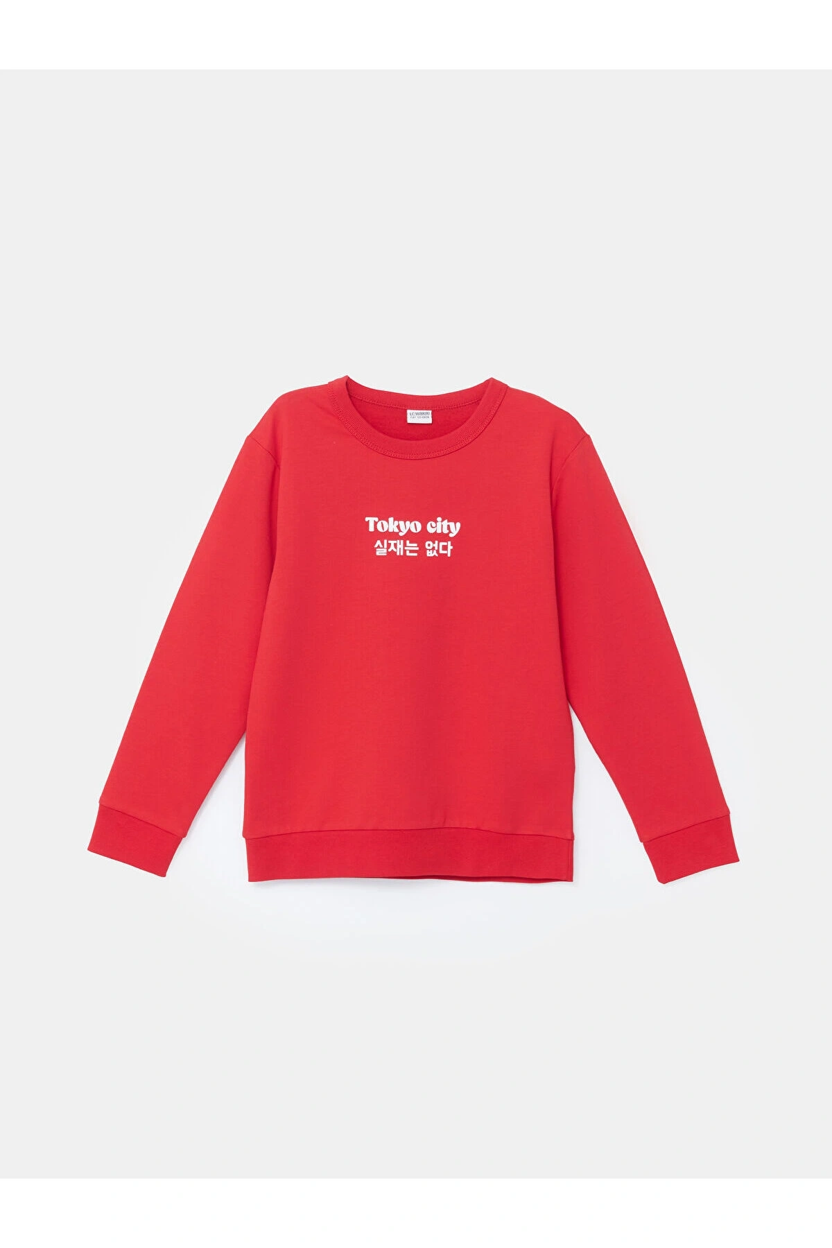 LCW Bisiklet Yaka Erkek Çocuk Sweatshirt 2li