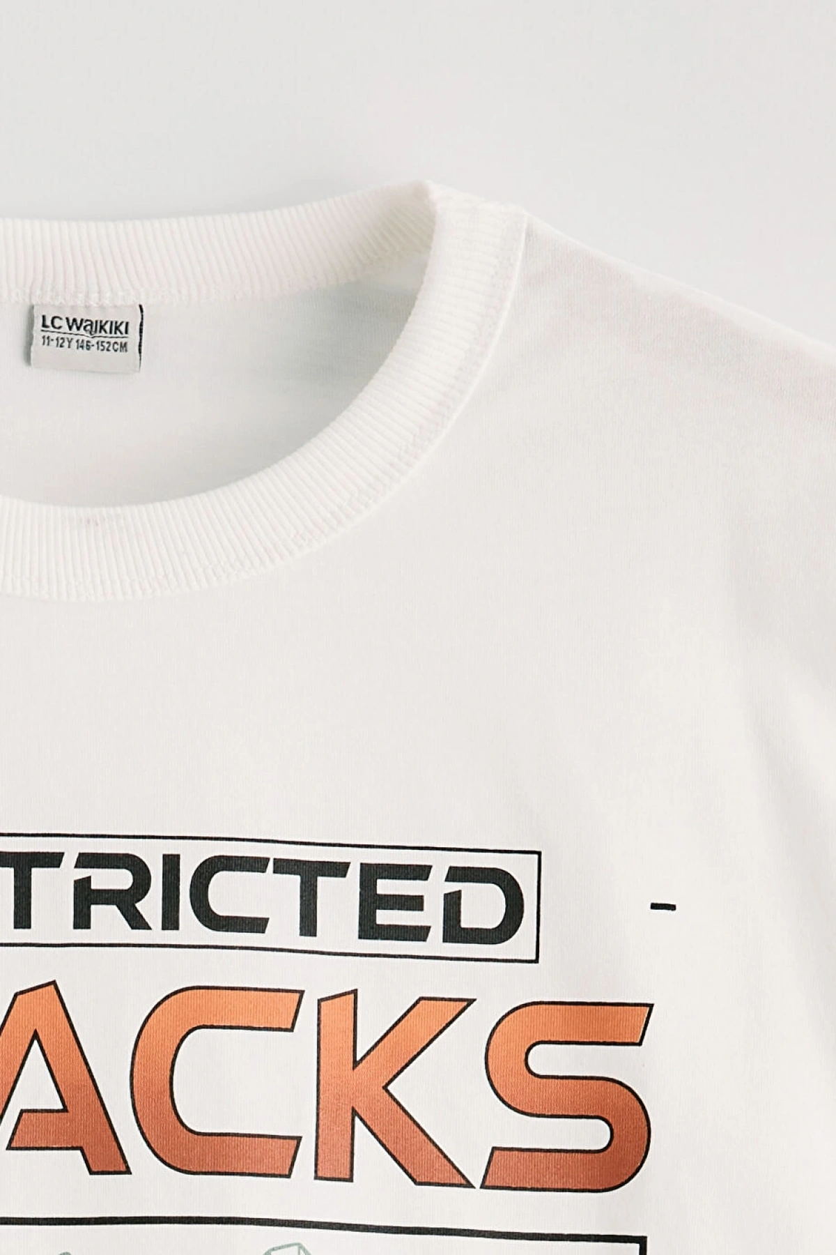 LCW Kids Ekru Bisiklet Yaka Baskılı Erkek Çocuk Tişört