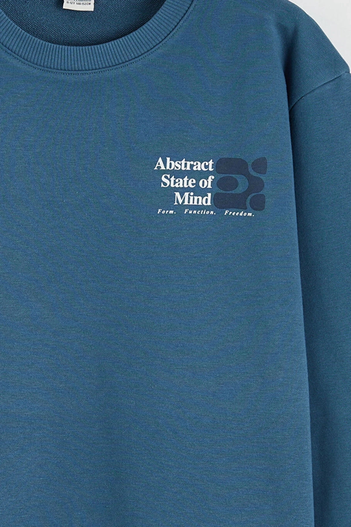 LCW Kids Mavi Erkek Çocuk Bisiklet Yaka Baskılı Sweatshirt