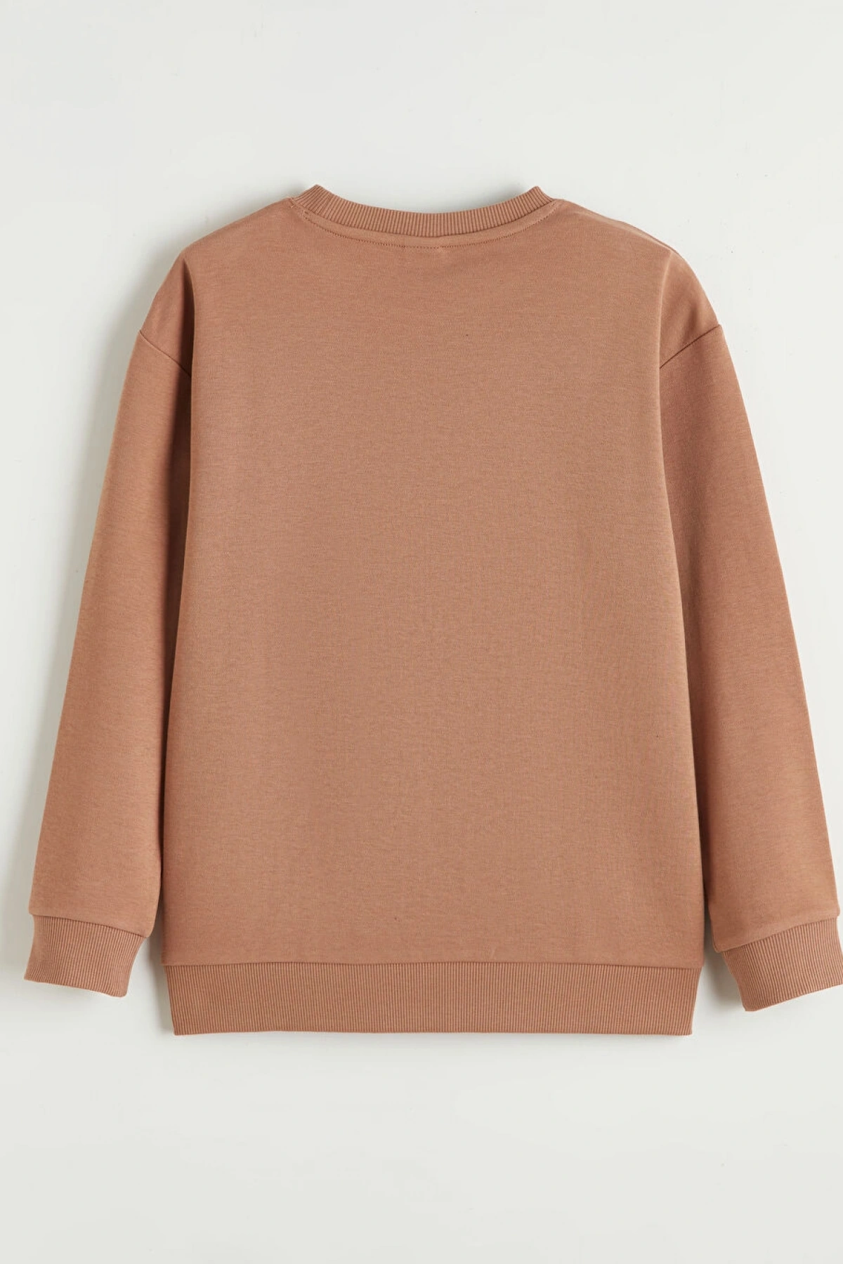 LCW Kids Kahverengi Yazı Baskılı Erkek Çocuk Sweatshirt