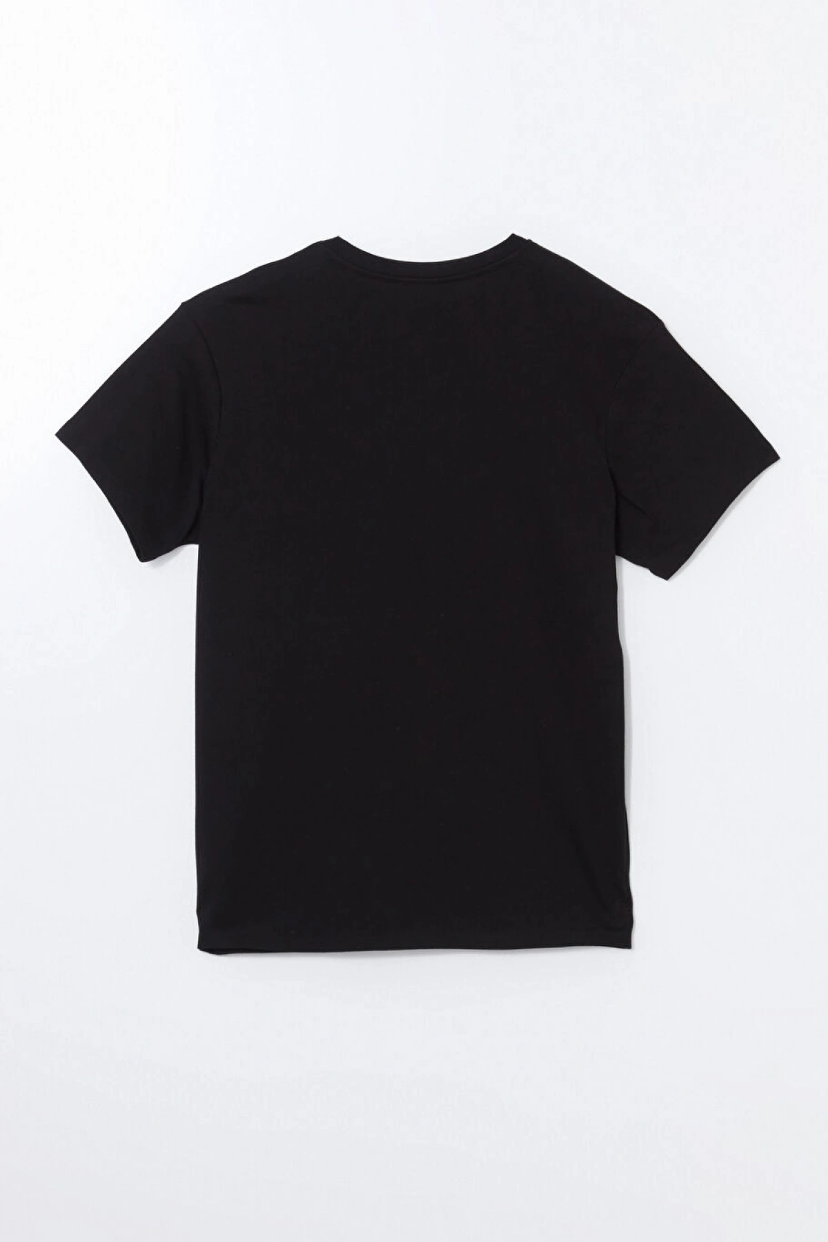 LCW Vision Siyah Bisiklet Yaka Baskılı Kadın Tişört