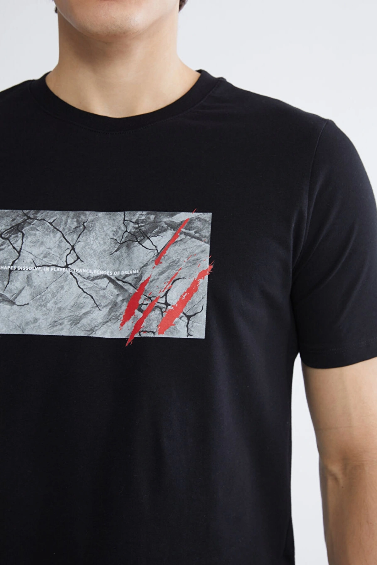 LC WAİKİKİ XSIDE Siyah Bisiklet Yaka Baskılı Penye Erkek Tişört