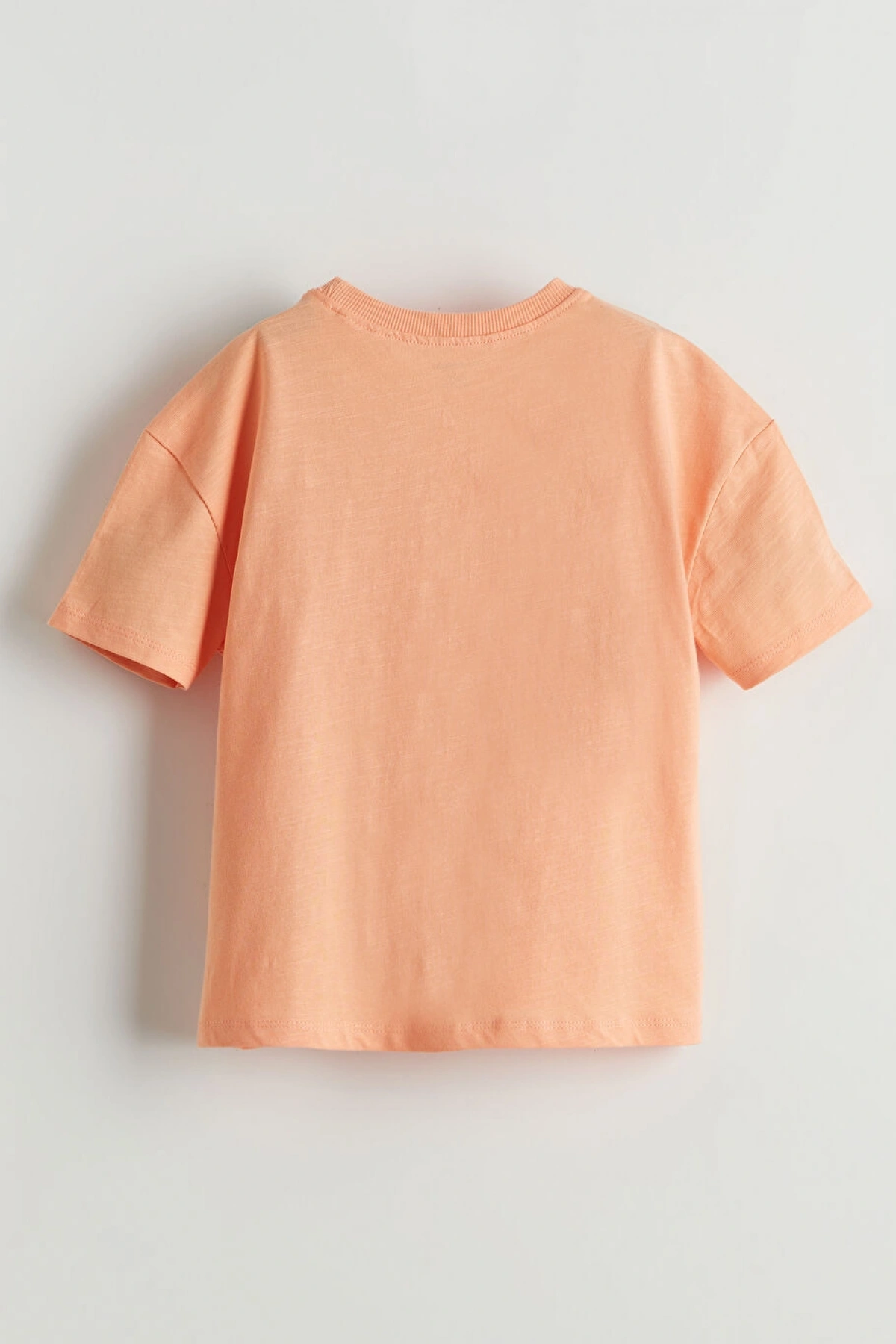 LCW Kids Turuncu Bisiklet Yaka Erkek Çocuk Tişört