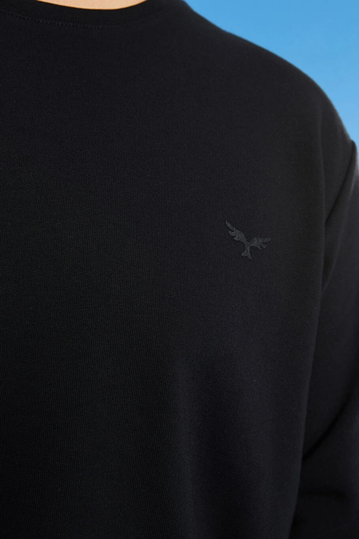 LCWAIKIKI Basic Siyah Büyük Beden Bisiklet Yaka Uzun Kollu Basic Erkek Sweatshirt