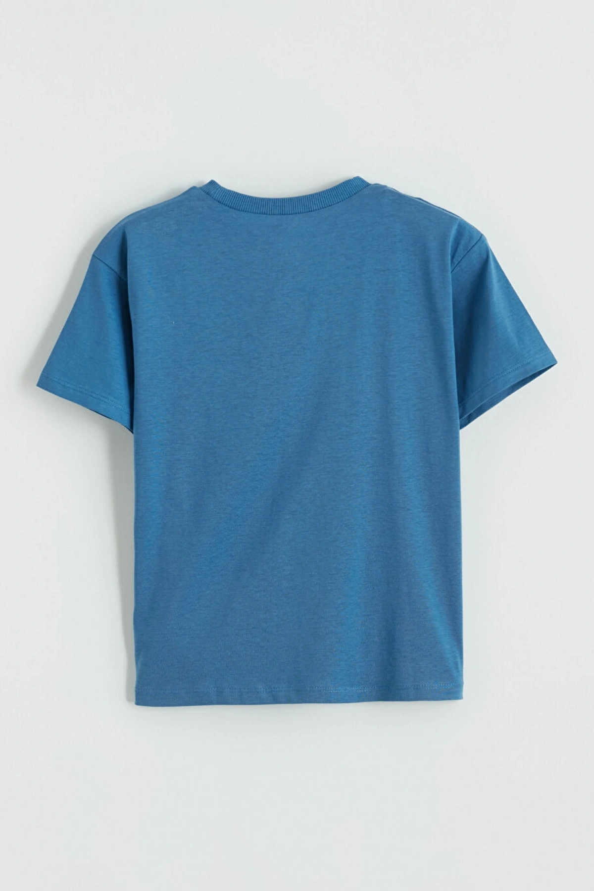 LCW Kids Mavi Baskılı Erkek Çocuk Tişört Ve Şort