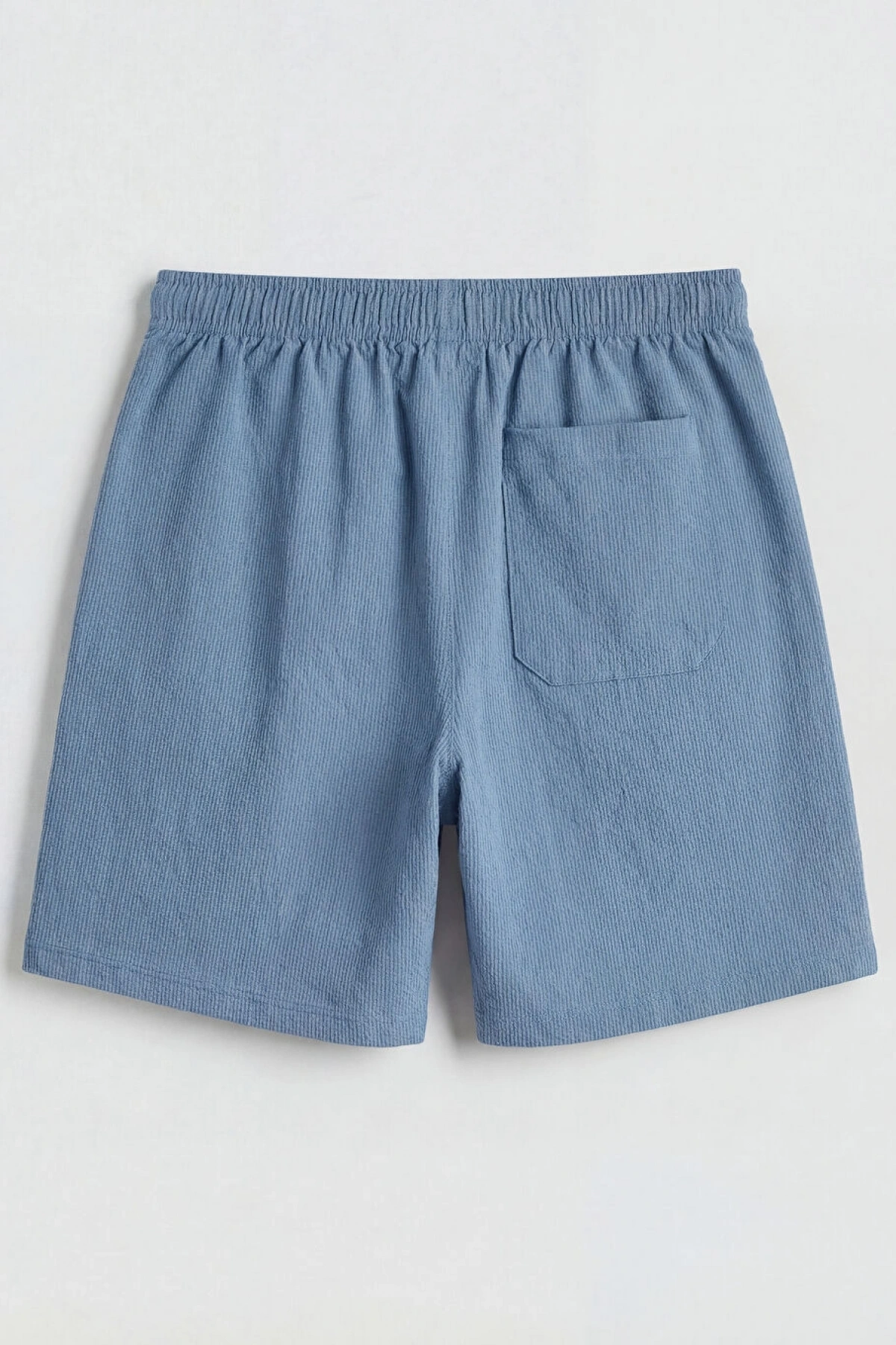 LCW SWIMWEAR Mavi Kısa Boy Erkek Deniz Şortu