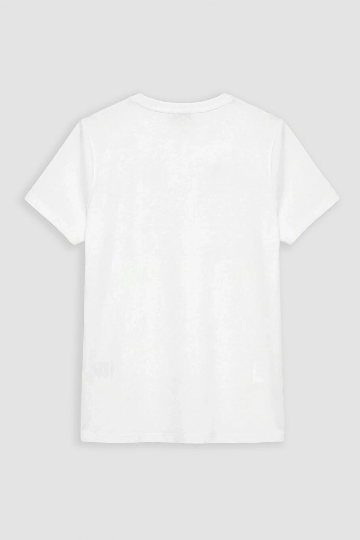 LCW EVERYDAY Ekru Bisiklet Yaka Çiçek Aplikeli Bluz