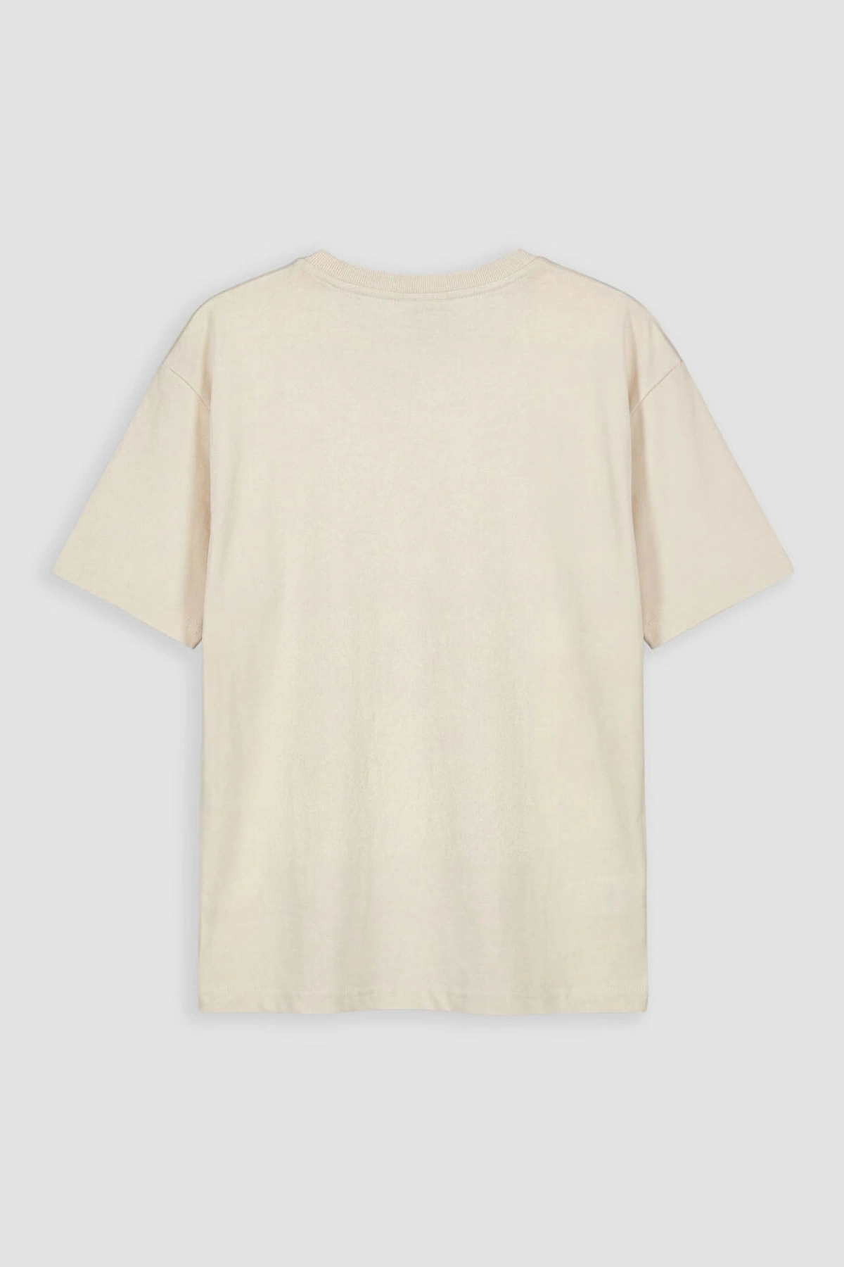 LCW Kids Kahverengi Baskılı Erkek Çocuk Tişört 2li