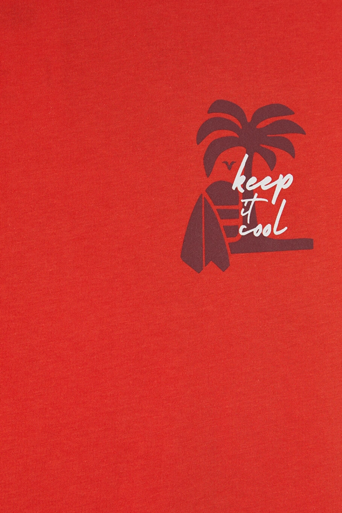 LCW Kids Kırmızı Bisiklet Yaka Baskılı Erkek Çocuk Tişört