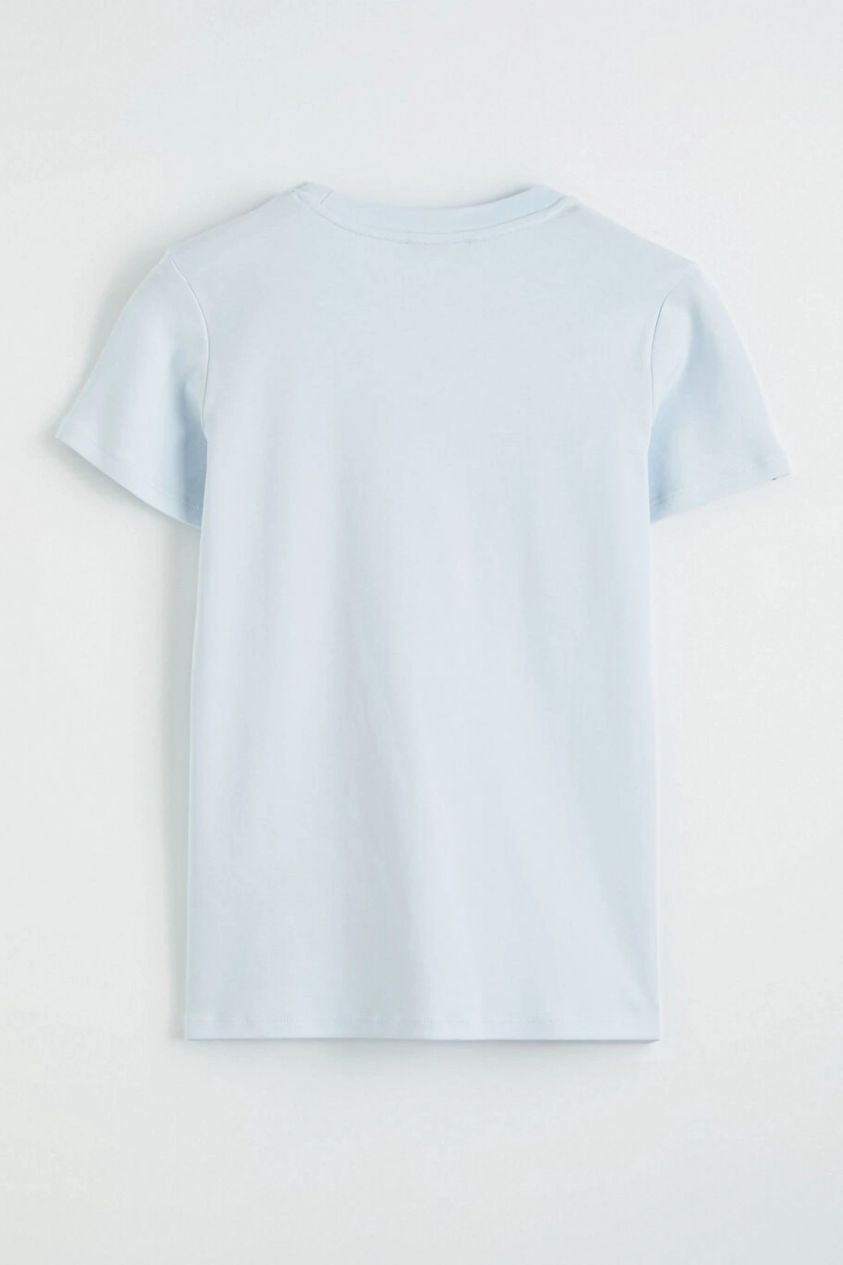 LCW EVERYDAY Mavi Bisiklet Yaka Kadın Tişört