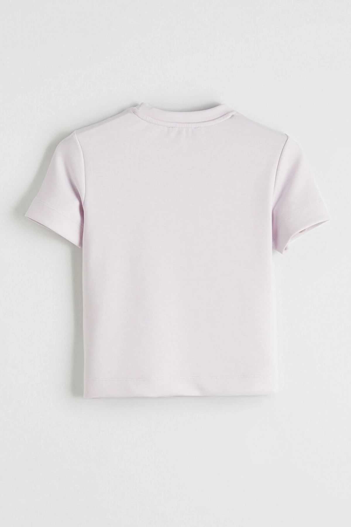 LCW Vision Lila Bisiklet Yaka Kadın Tişört