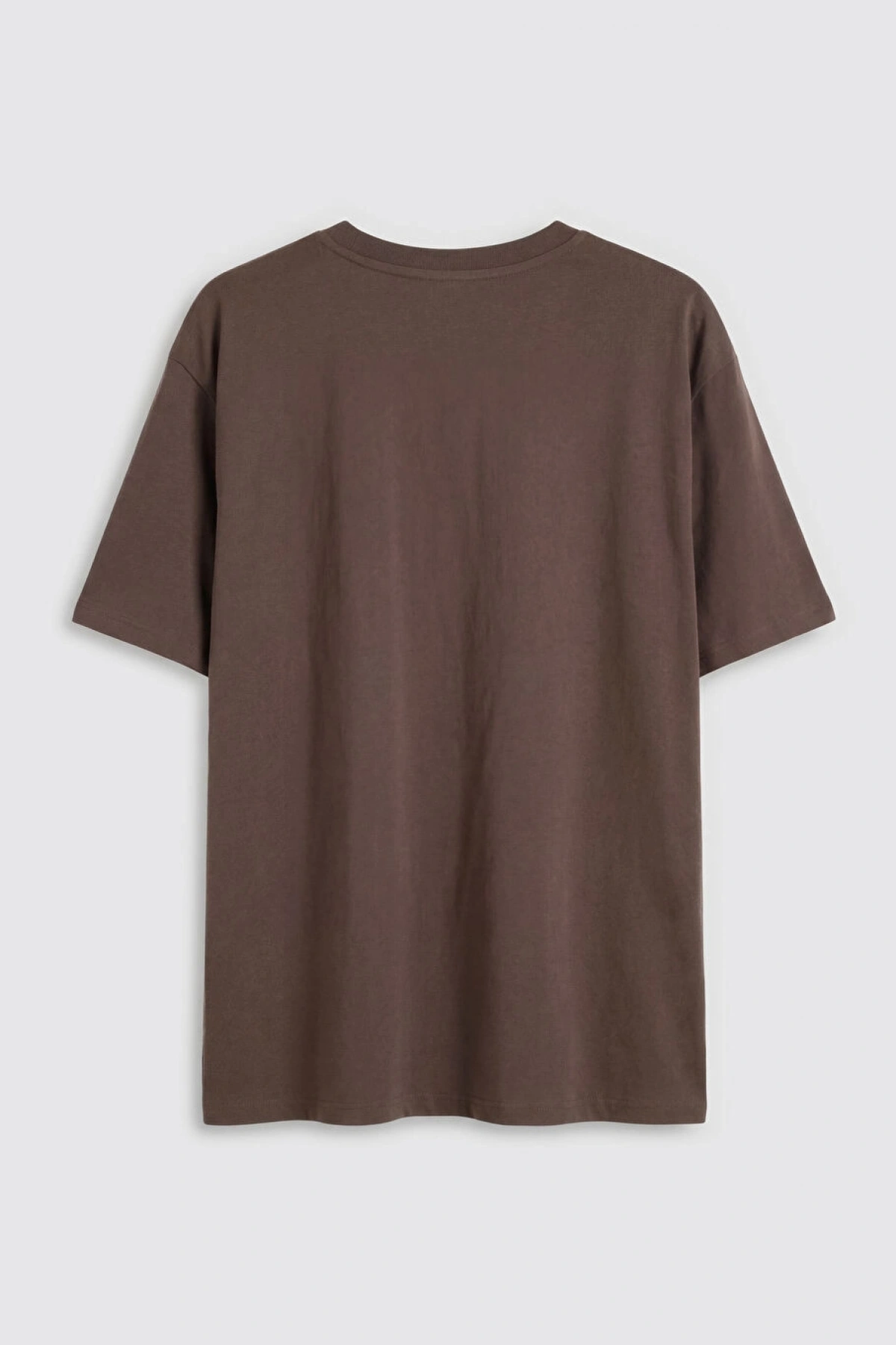 LCW Vision Kahverengi Bisiklet Yaka Baskılı Oversize Kadın Tişört