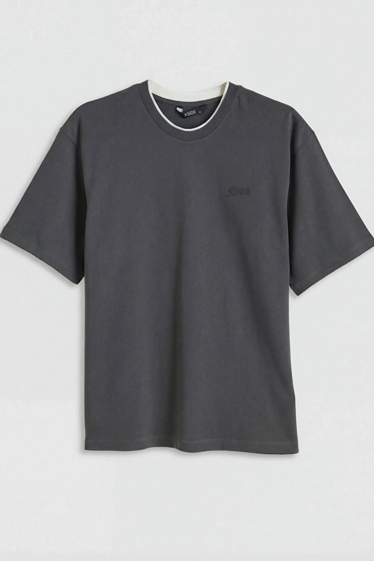 XSIDE Antrasit Bisiklet Yaka Nakışlı Erkek Tişört