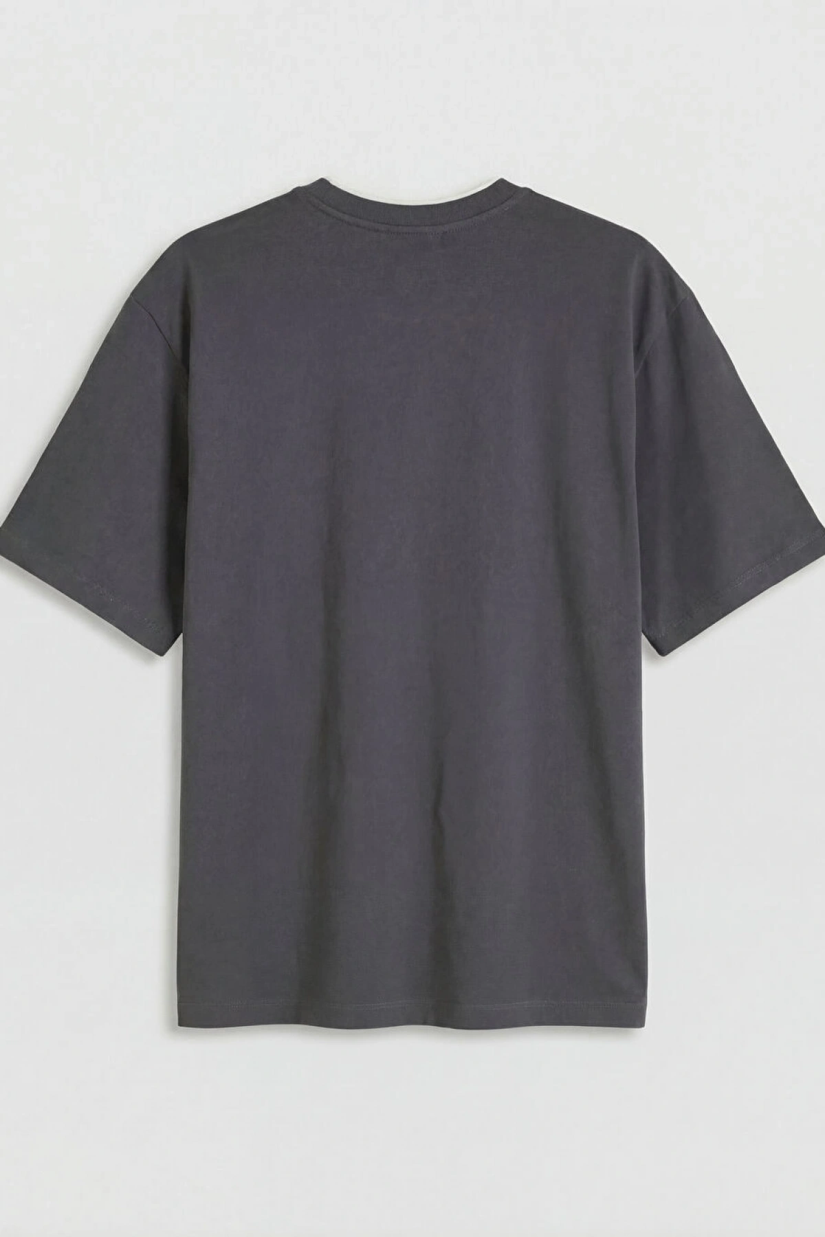 XSIDE Antrasit Bisiklet Yaka Nakışlı Erkek Tişört