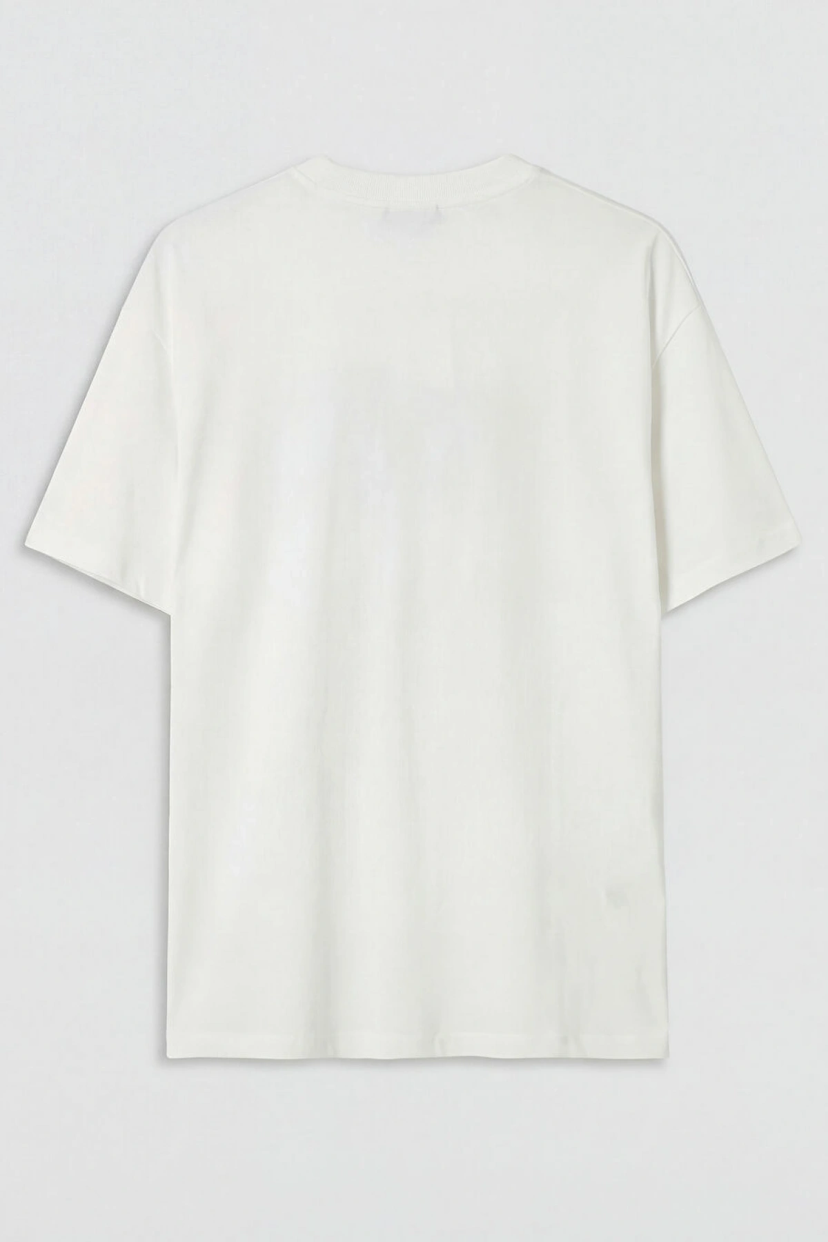 LCW Modest Ekru Bisiklet Yaka Baskılı Kadın Tişört