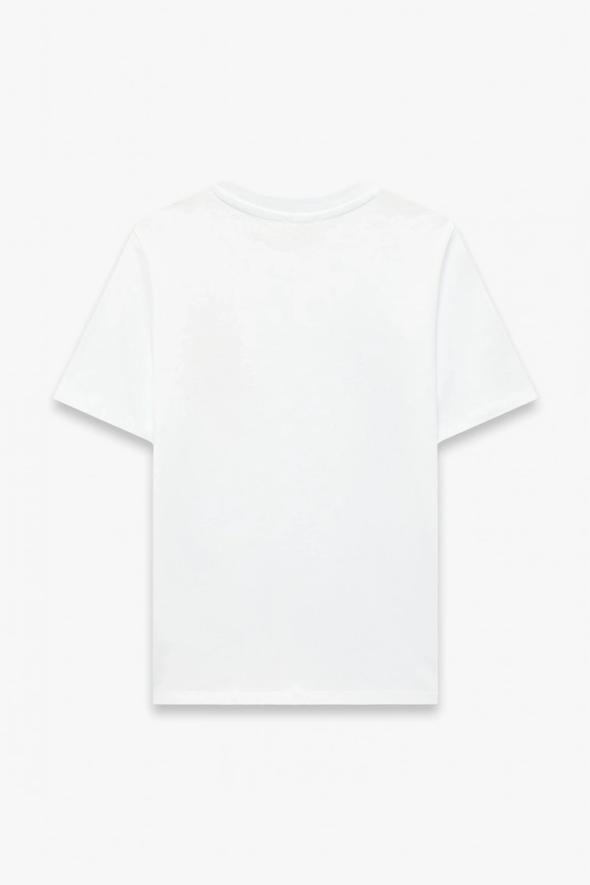 Erkek Çocuk Dinozor Baskı Detaylı Kısa Kollu Bisiklet Yaka Pamuklu Tişört