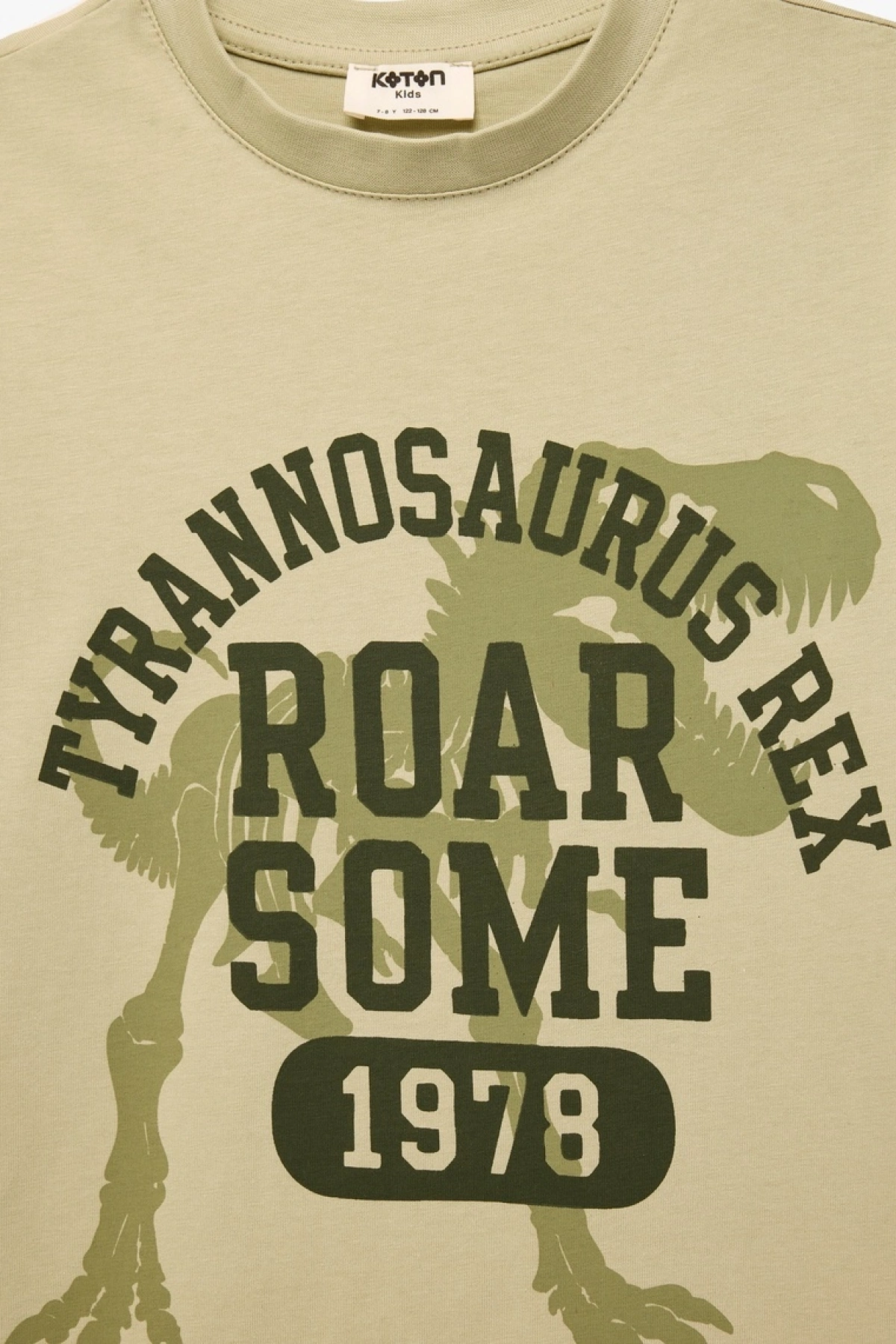 Erkek Çocuk Pamuklu Kısa Kollu Bisiklet Yaka Dinozor Baskılı Tişört